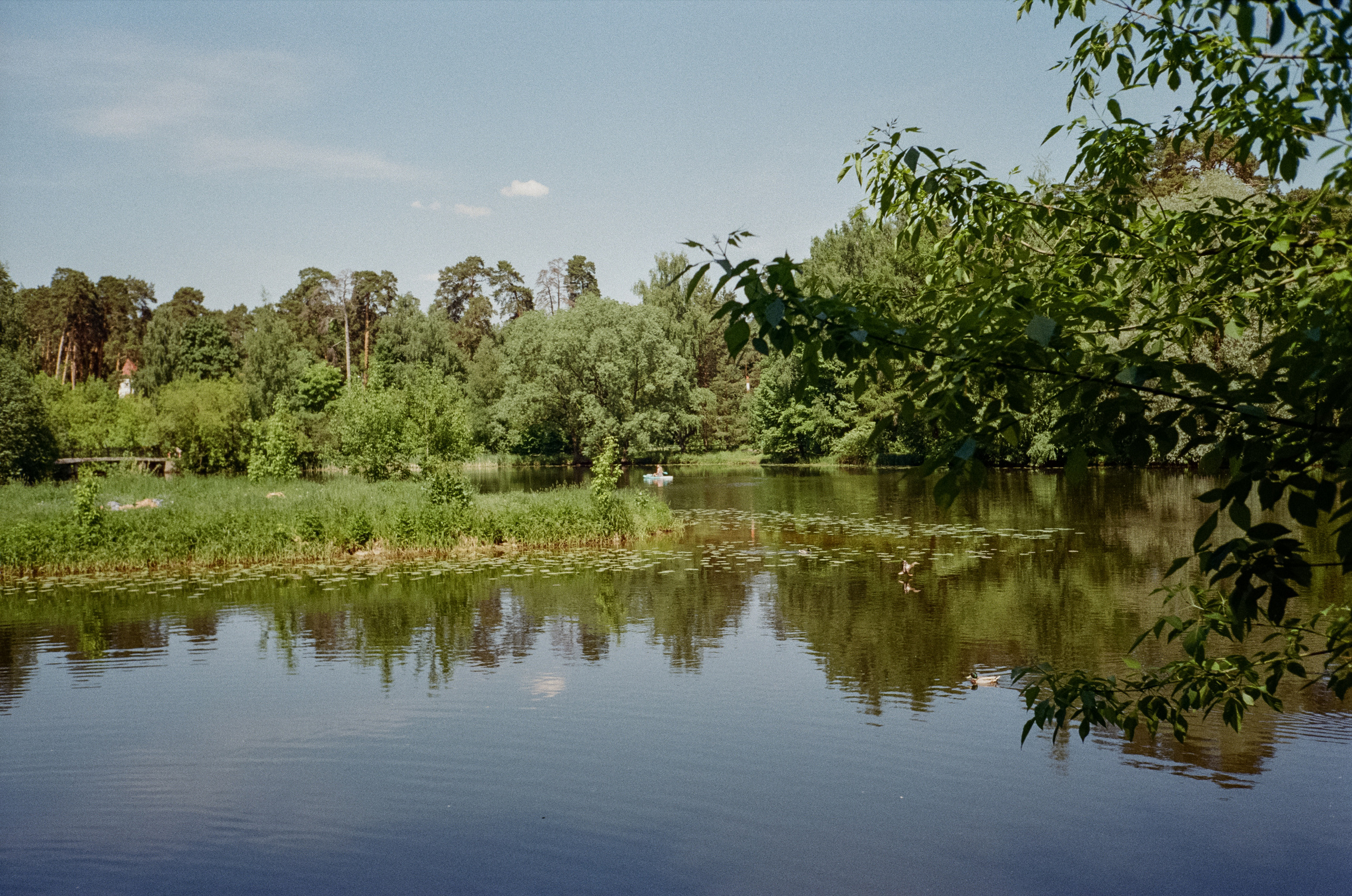 Серебряный Бор. Импрессионизм. Фотограф-документалист Мария Осокина