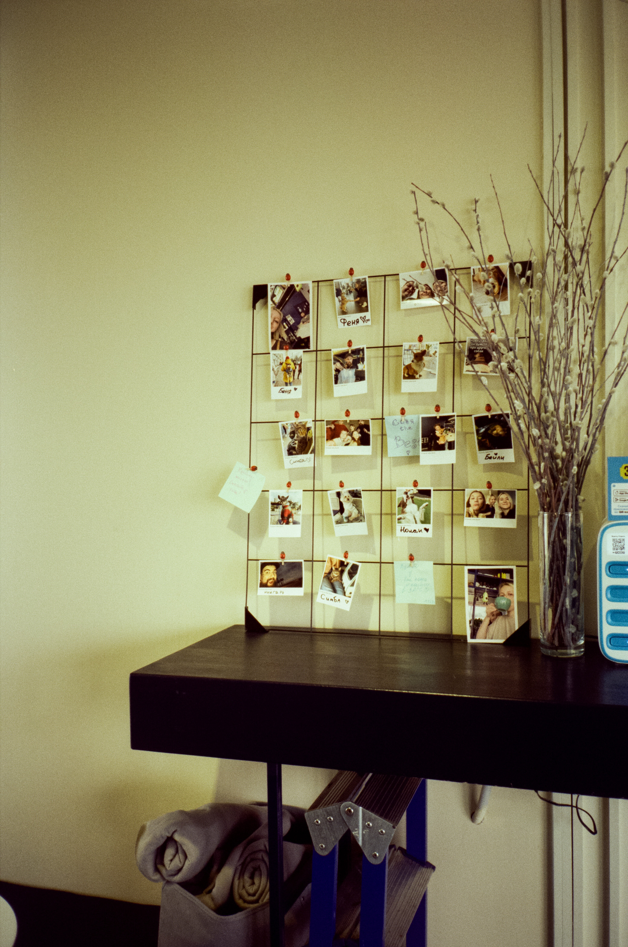 Прогулка по набережной Сочи: море, пальмы и уютная кофейня. Фотограф-документалист Мария Осокина