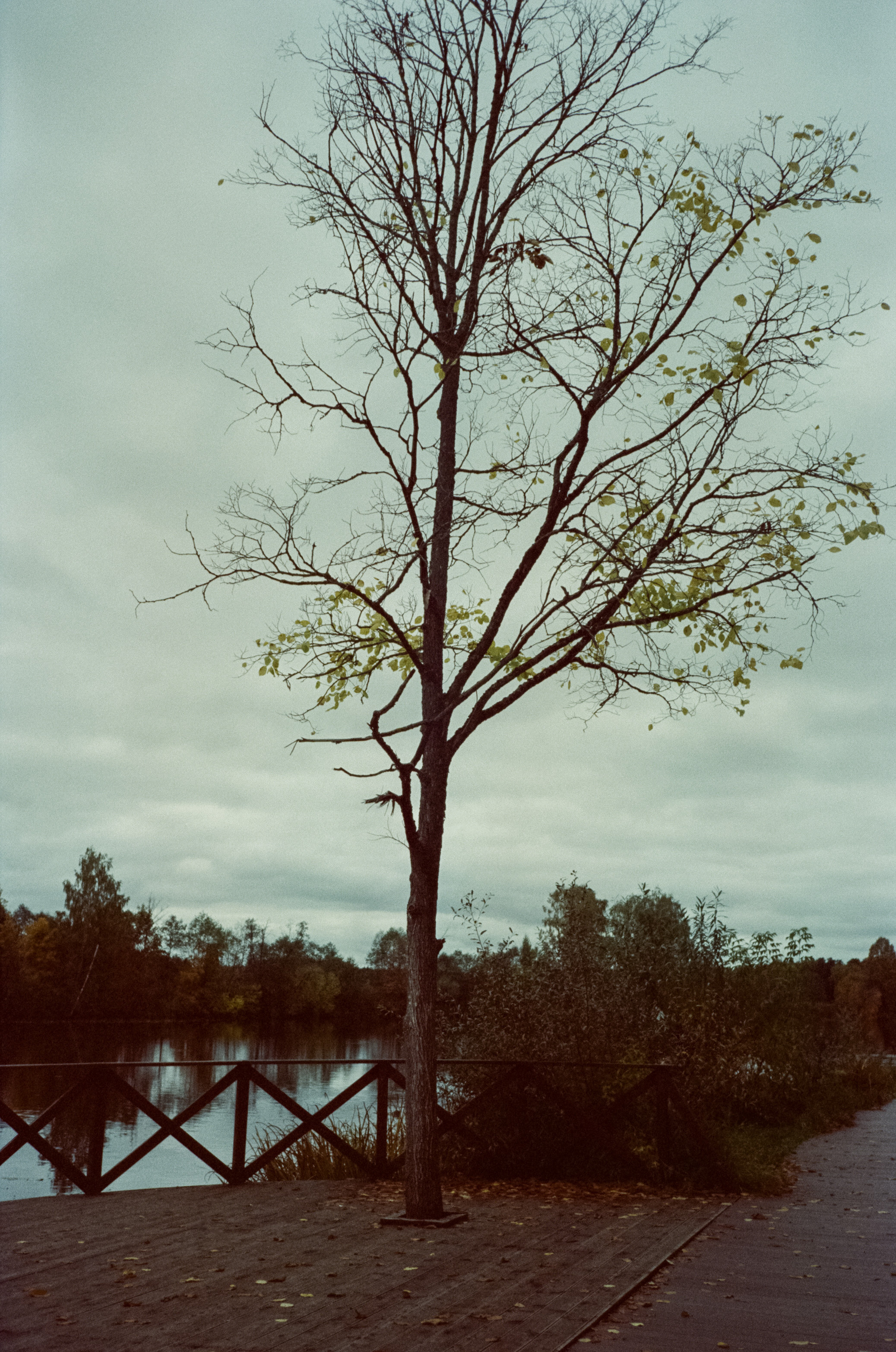 Архангельское. Начало осени. Фотограф-документалист Мария Осокина