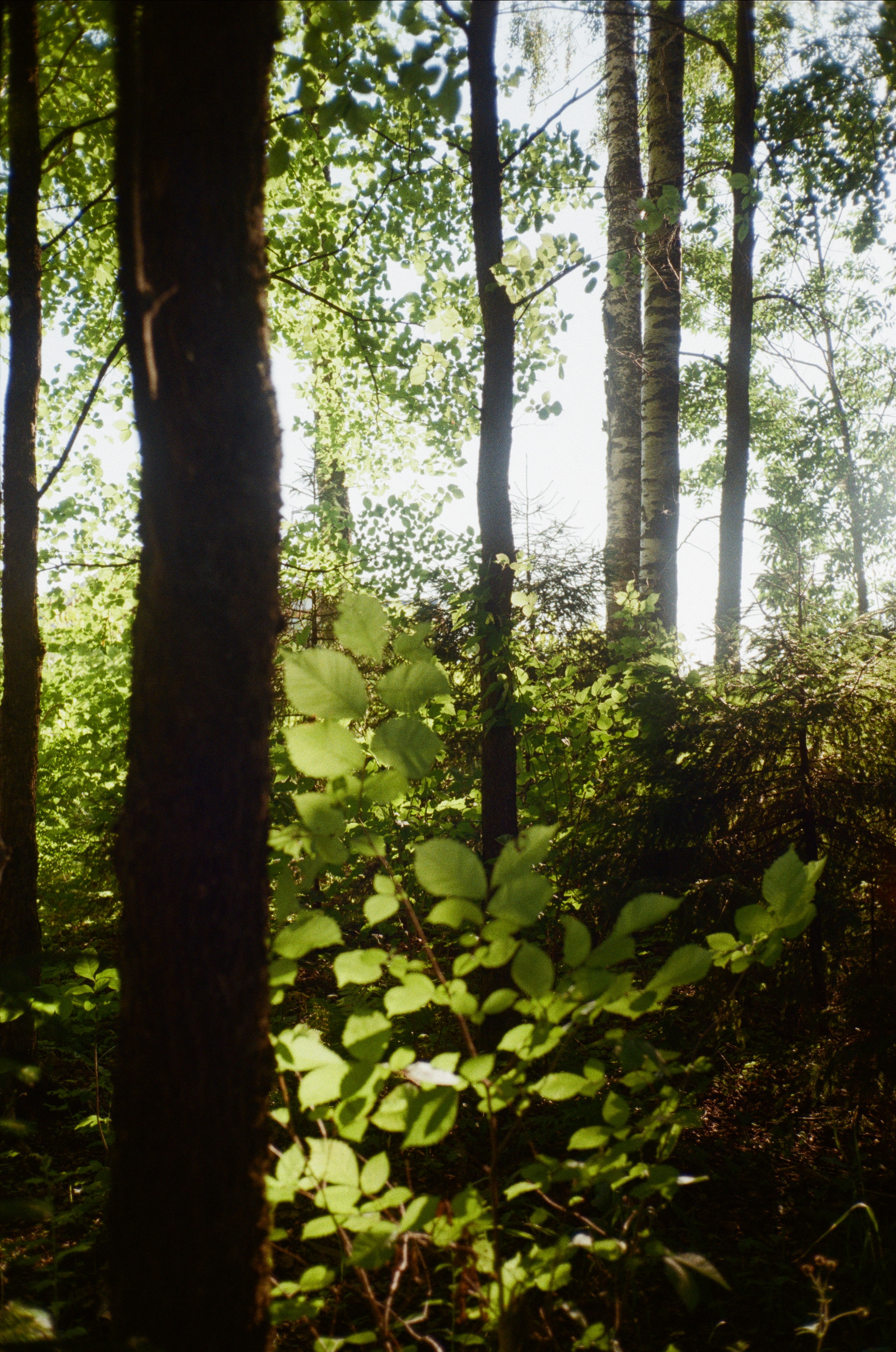 Тихая Заводь. Golden hour. Фотограф-документалист Мария Осокина