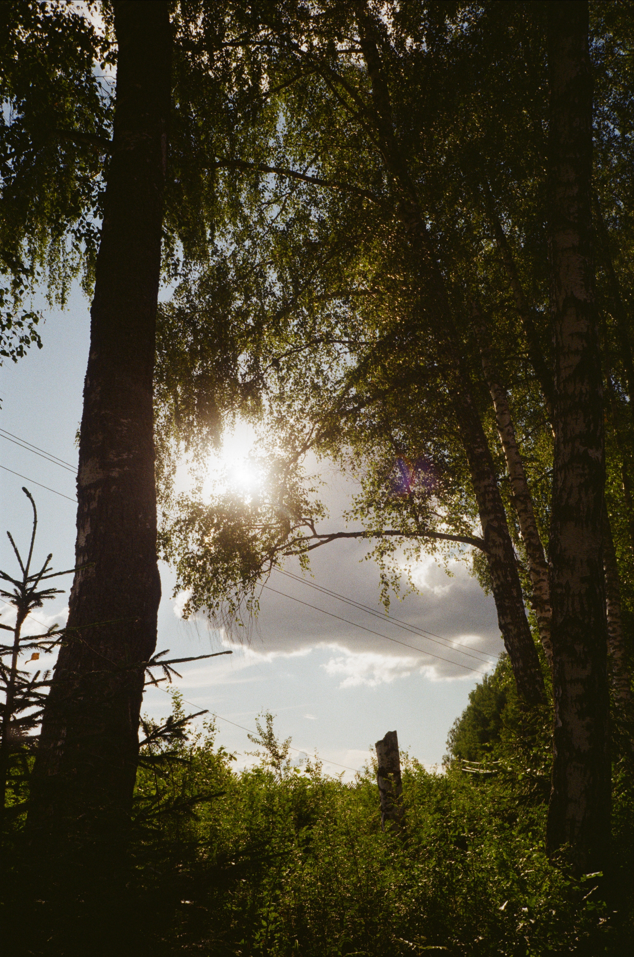 Тихая Заводь. Вечерние прогулки. Фотограф-документалист Мария Осокина