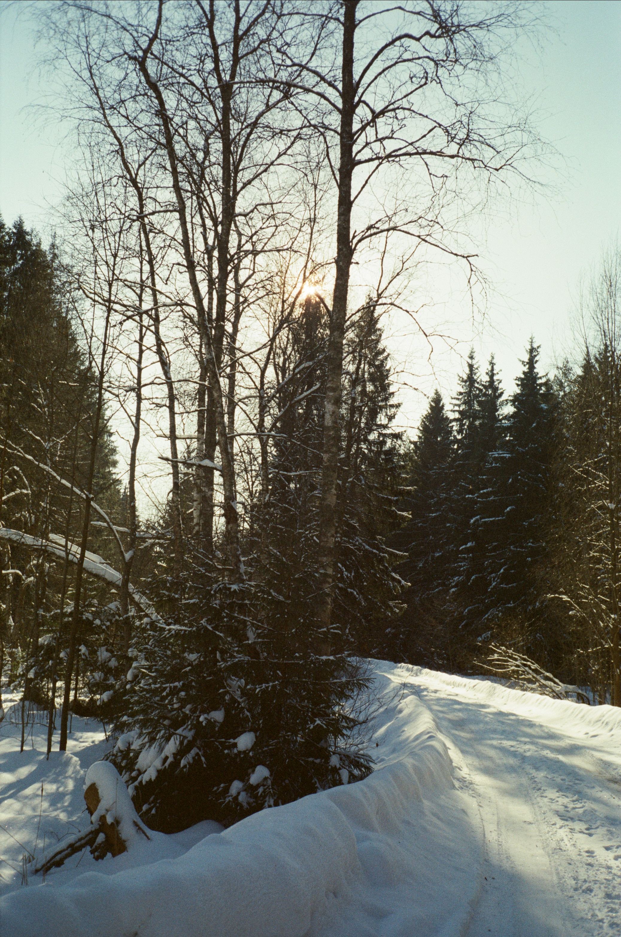 Лесная прогулка в День Рождения. Фотограф-документалист Мария Осокина