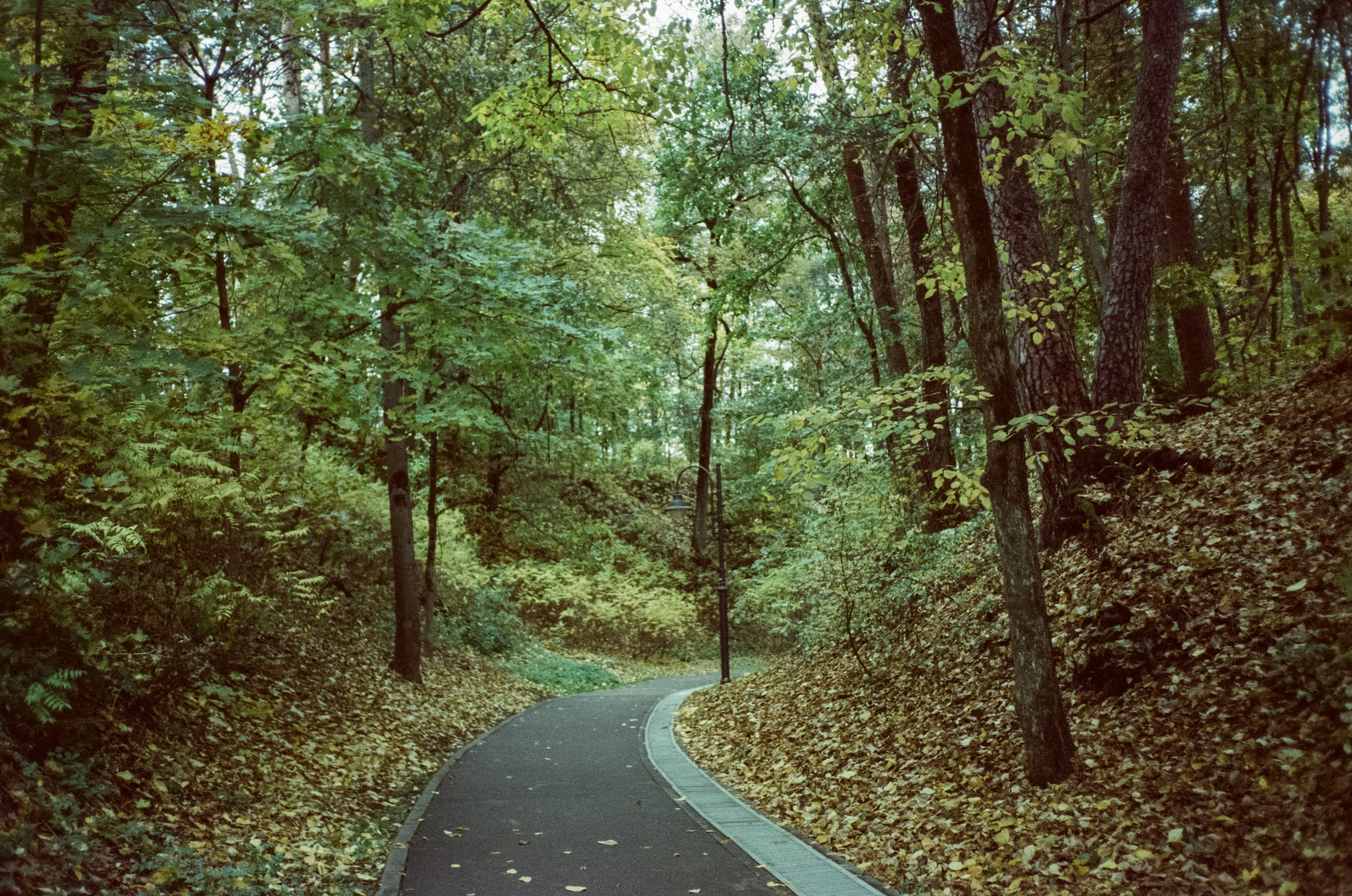 Архангельское. Начало осени. Фотограф-документалист Мария Осокина