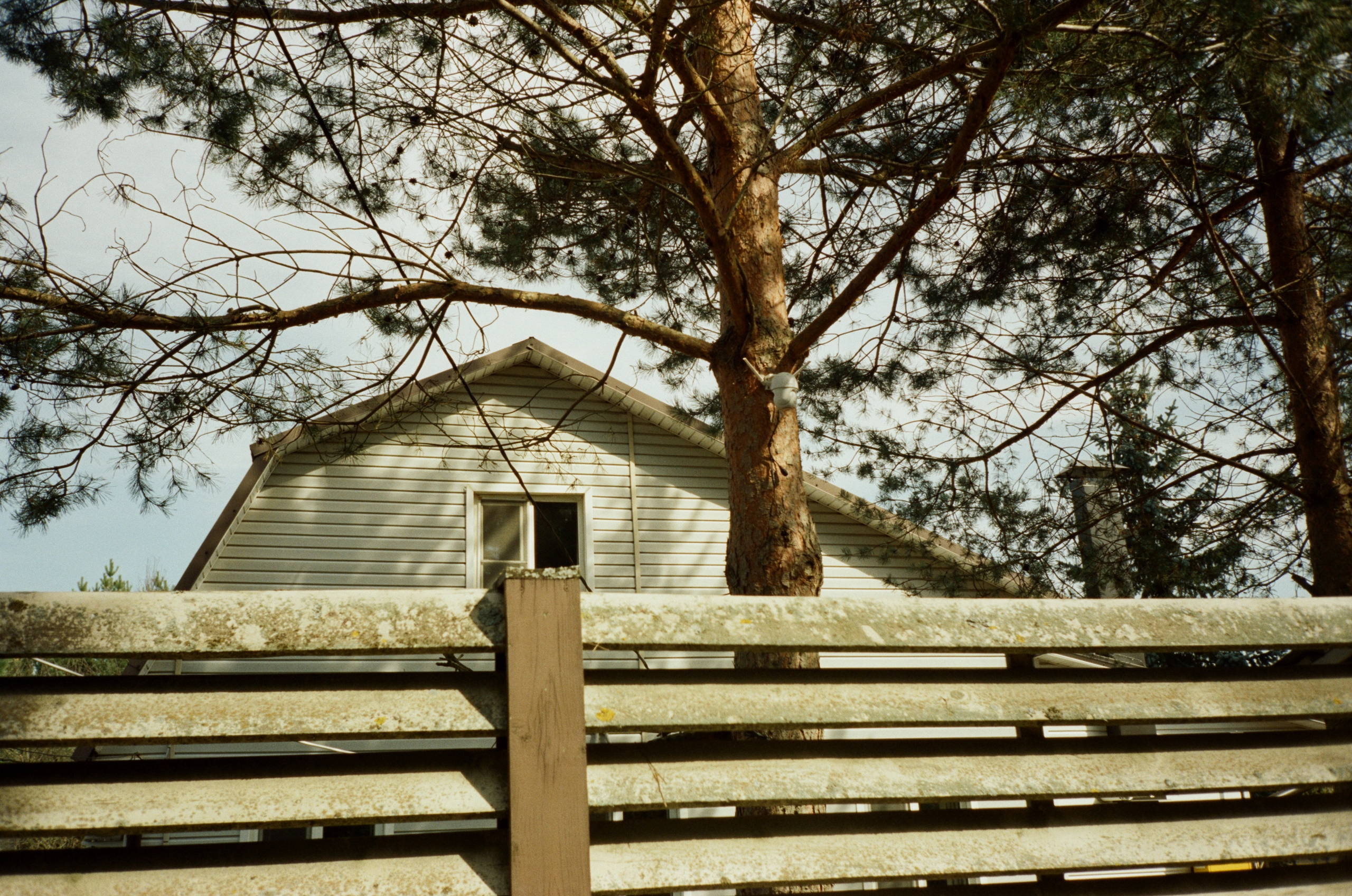 Давыдовское. Вход-выход. Фотограф-документалист Мария Осокина