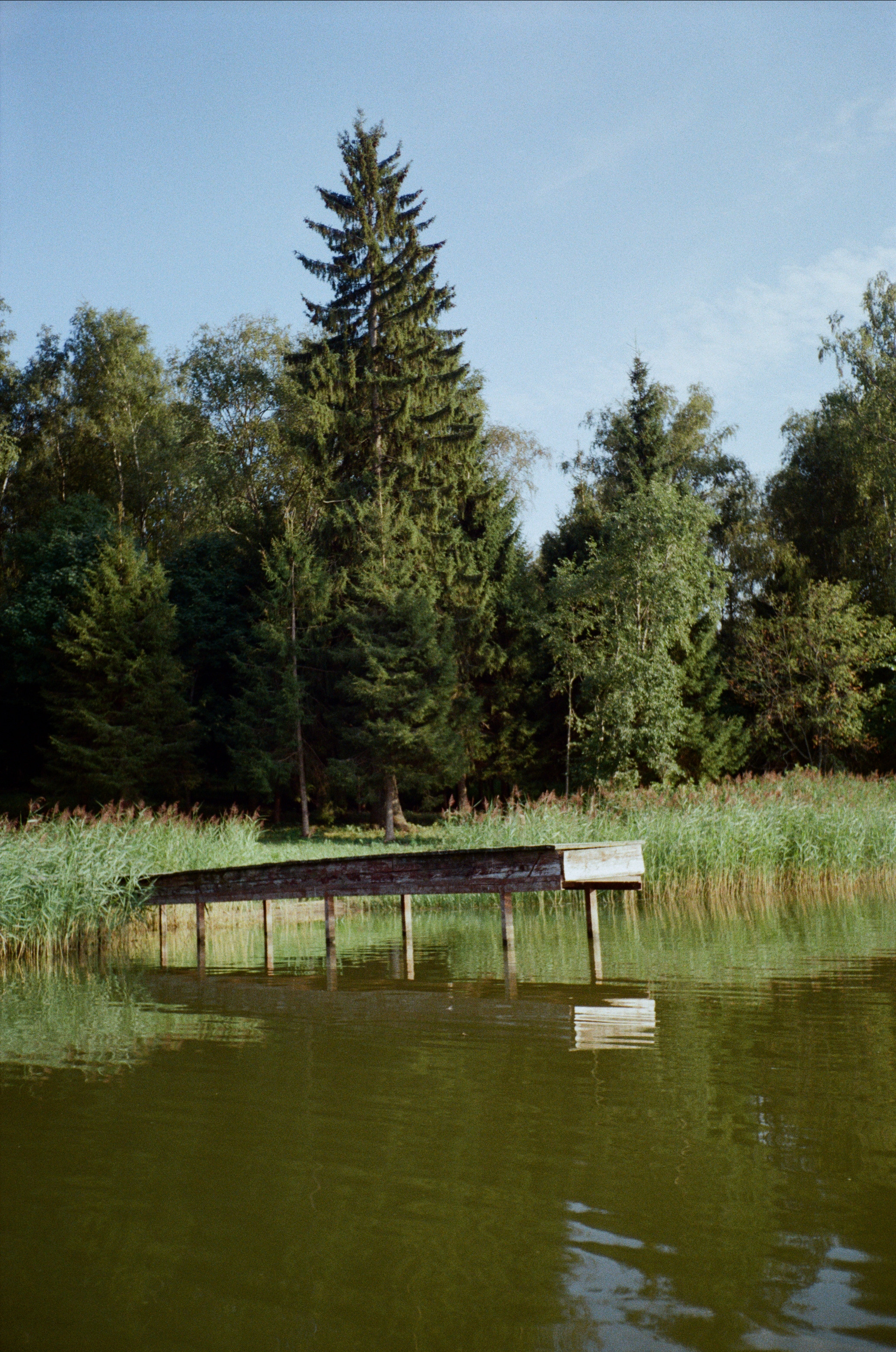 Тихая Заводь. Вечерний sup. Фотограф-документалист Мария Осокина