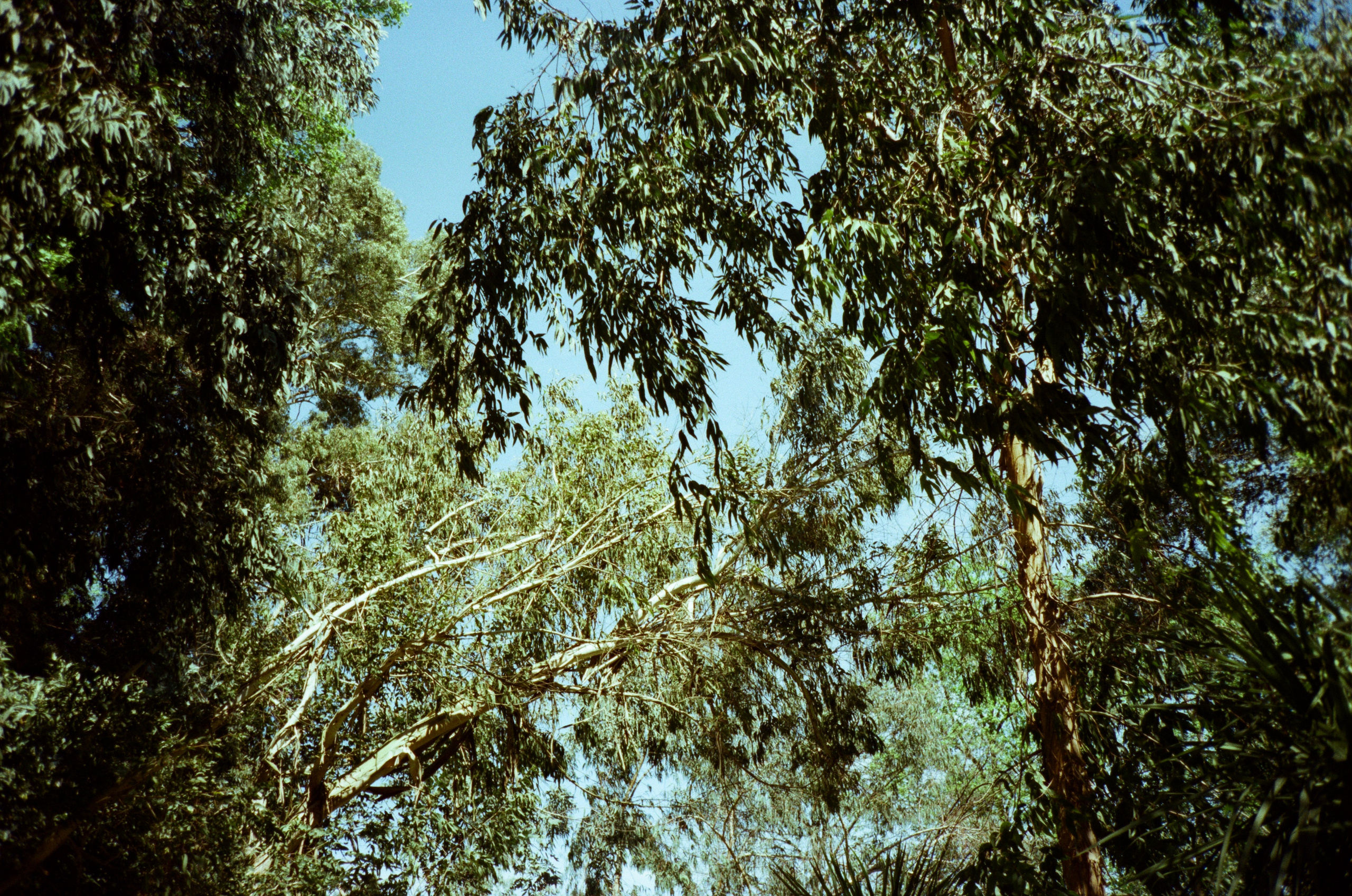 Экзотика Южных культур. Фотограф-документалист Мария Осокина