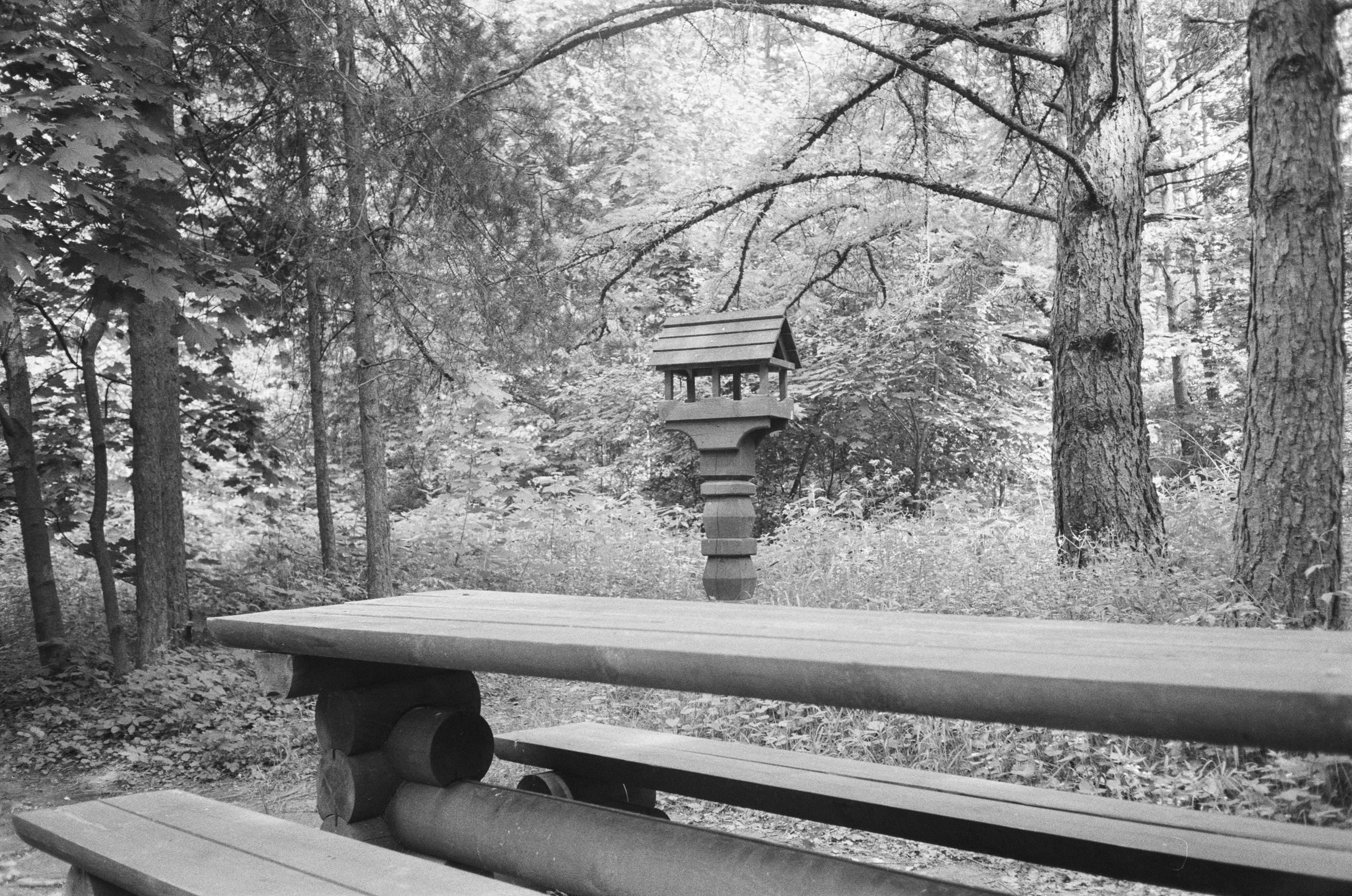 Серебряный Бор. Лето в ч/б. Фотограф-документалист Мария Осокина