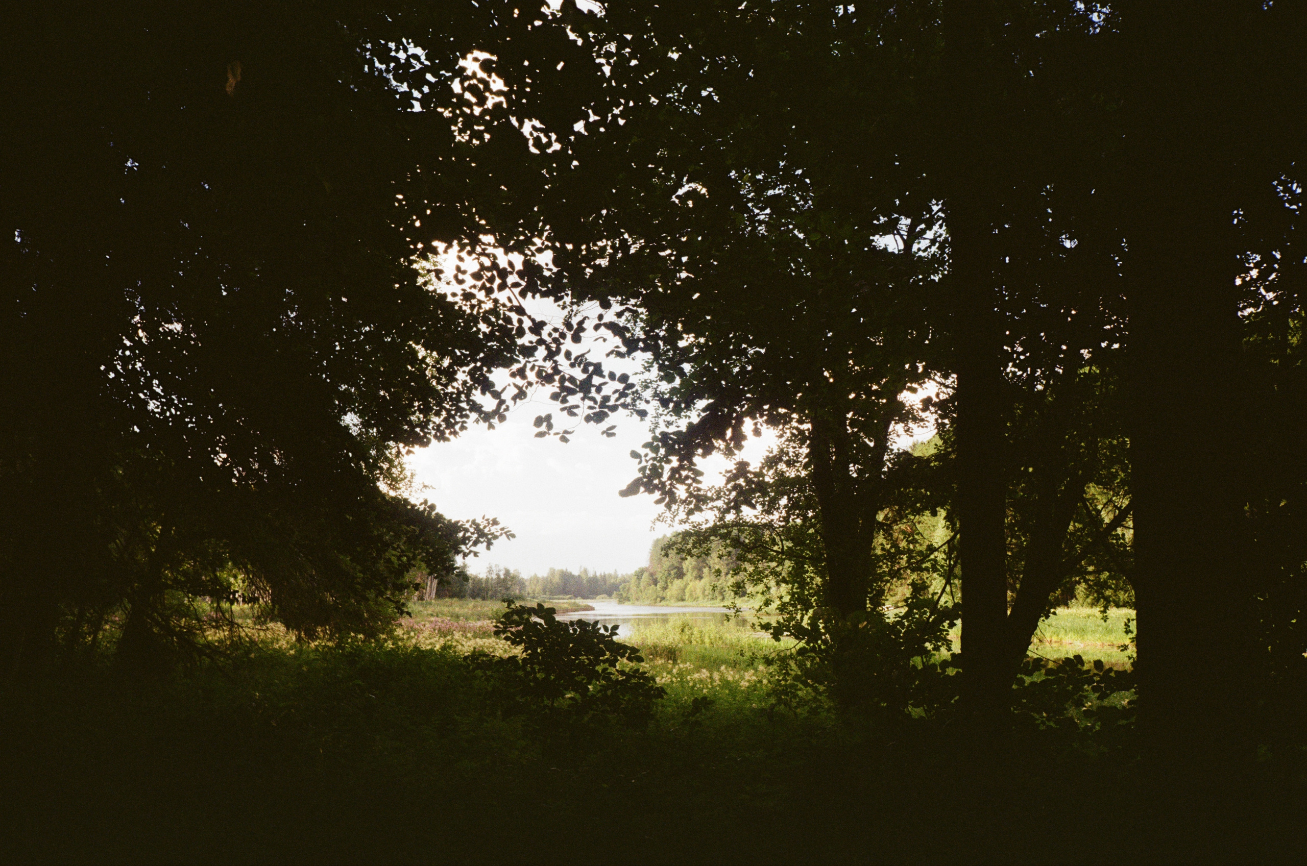 Тихая Заводь. Вечерние прогулки. Фотограф-документалист Мария Осокина