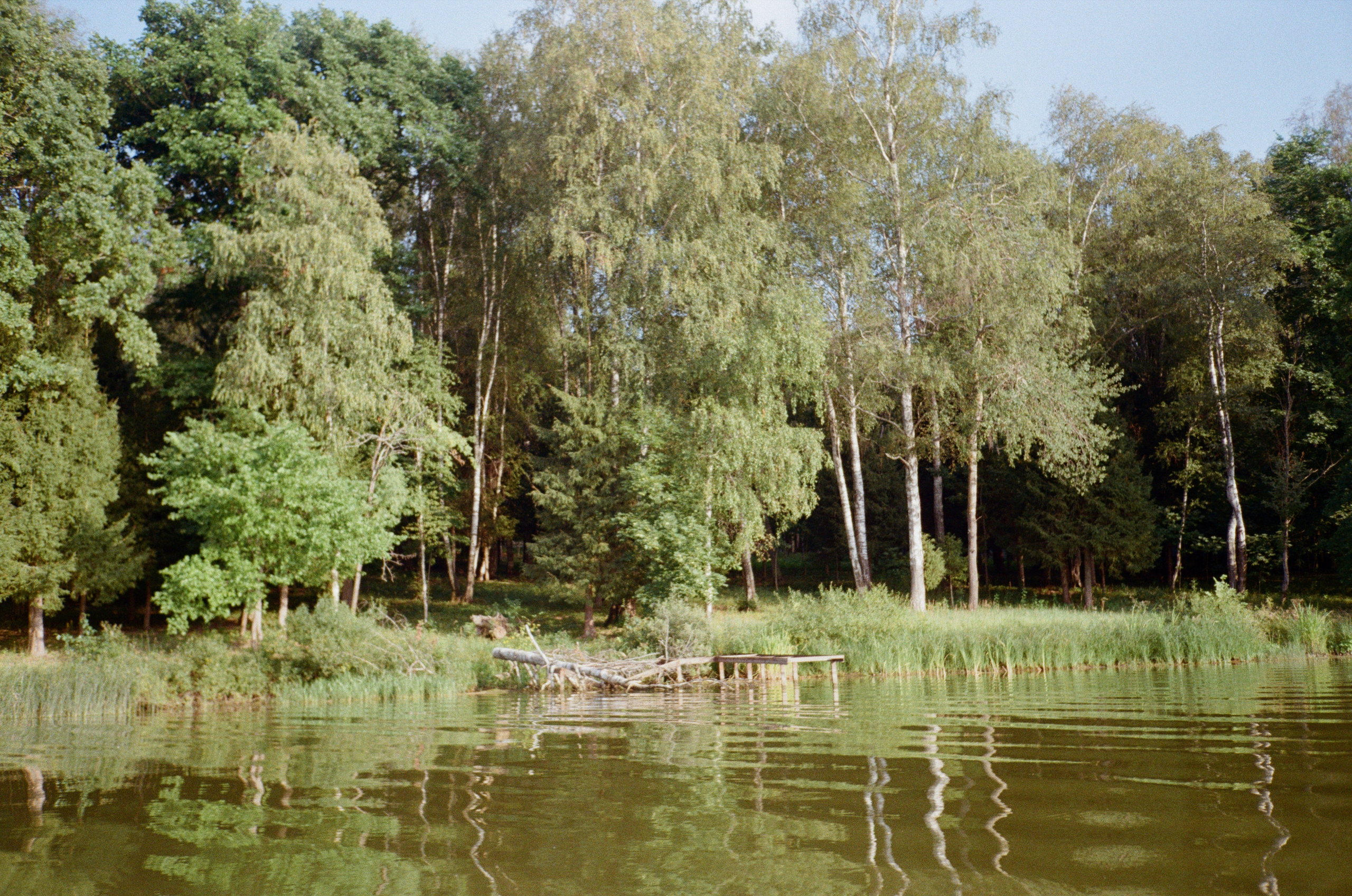 Тихая Заводь. Вечерний sup. Фотограф-документалист Мария Осокина
