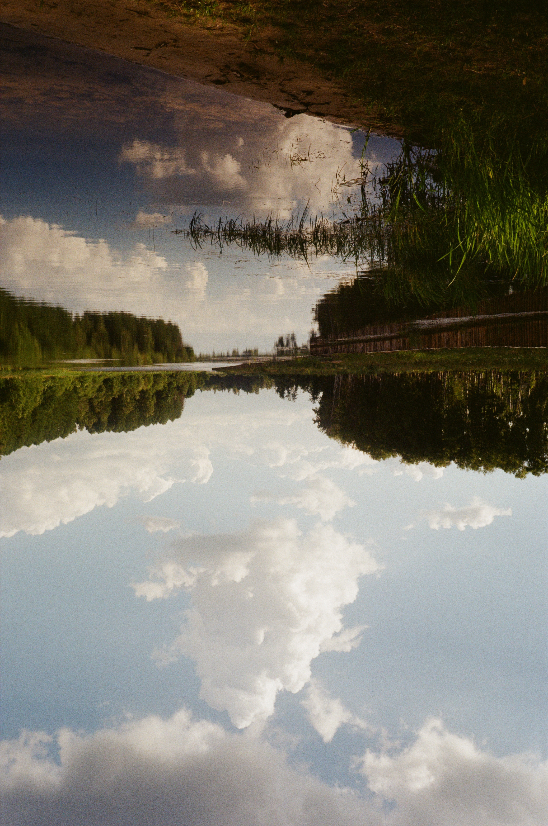 Тихая Заводь. Вечерние прогулки. Фотограф-документалист Мария Осокина