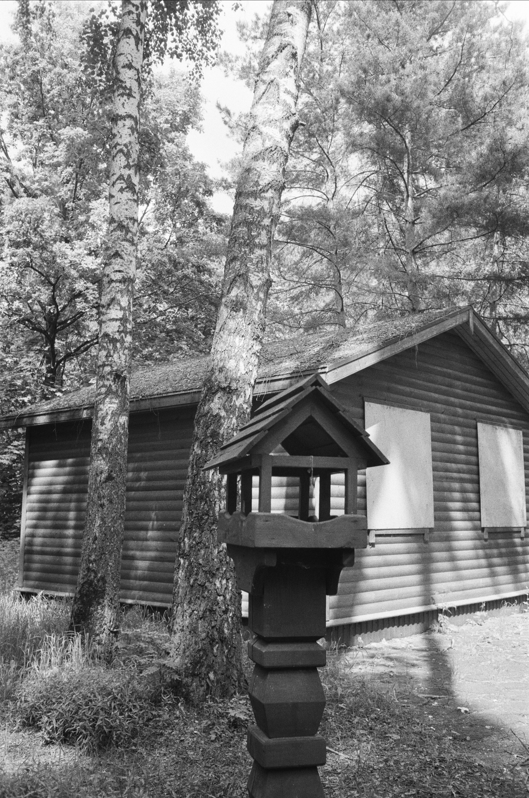 Серебряный Бор. Лето в ч/б. Фотограф-документалист Мария Осокина