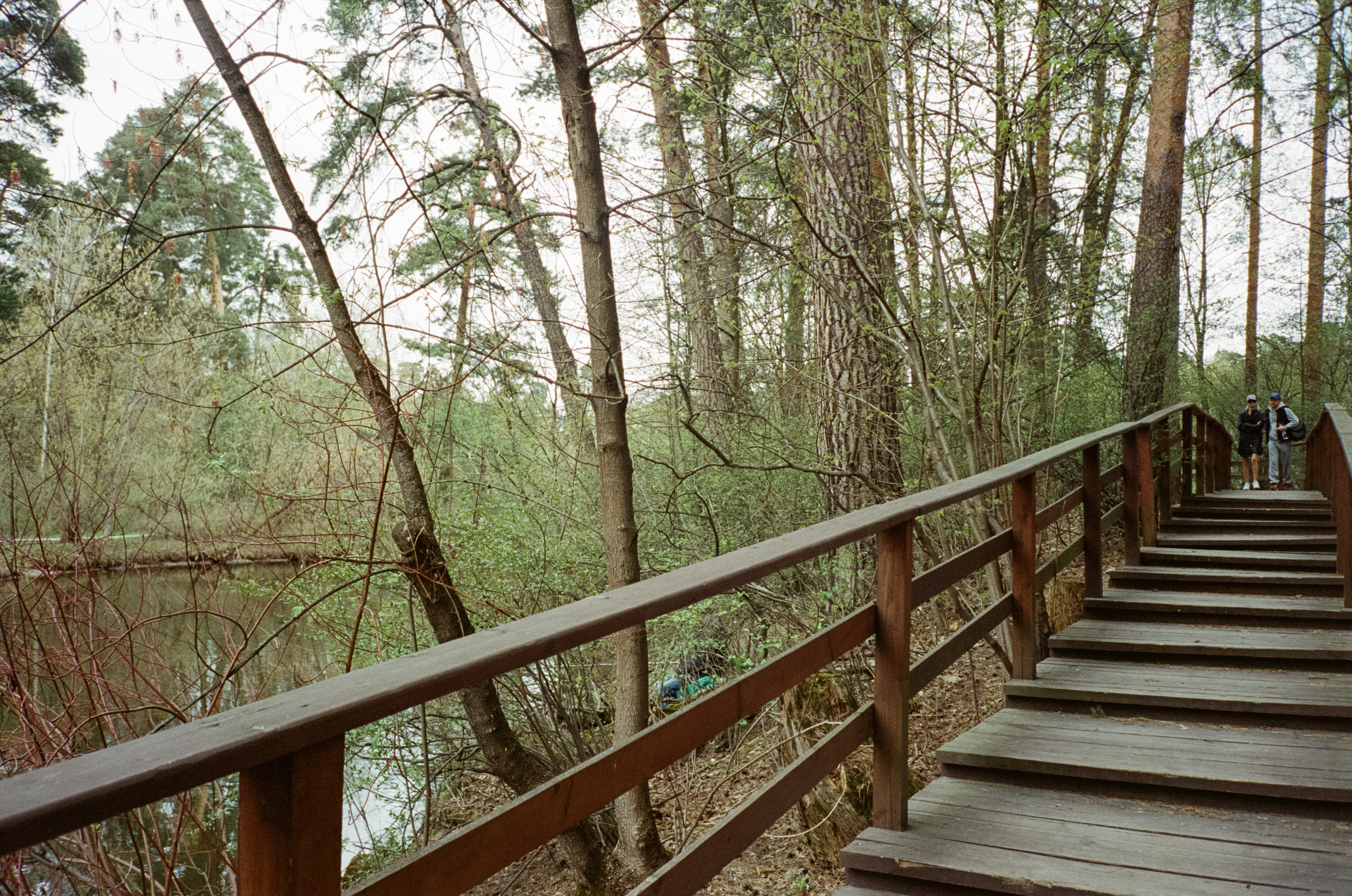 Серебряный бор. Весна. Фотограф-документалист Мария Осокина