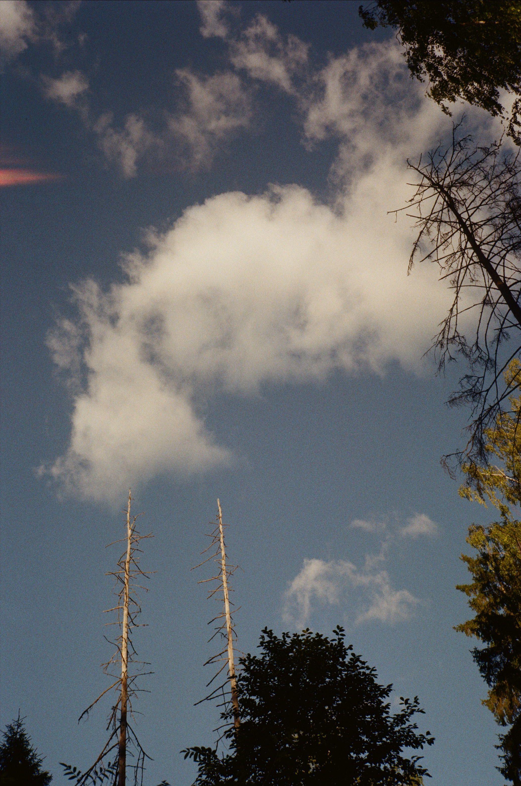 Тихая Заводь. Golden hour. Фотограф-документалист Мария Осокина