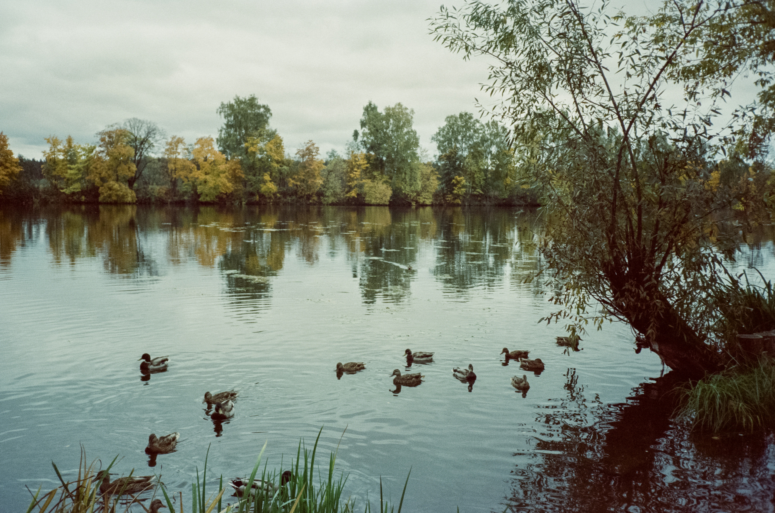 Архангельское. Начало осени. Фотограф-документалист Мария Осокина