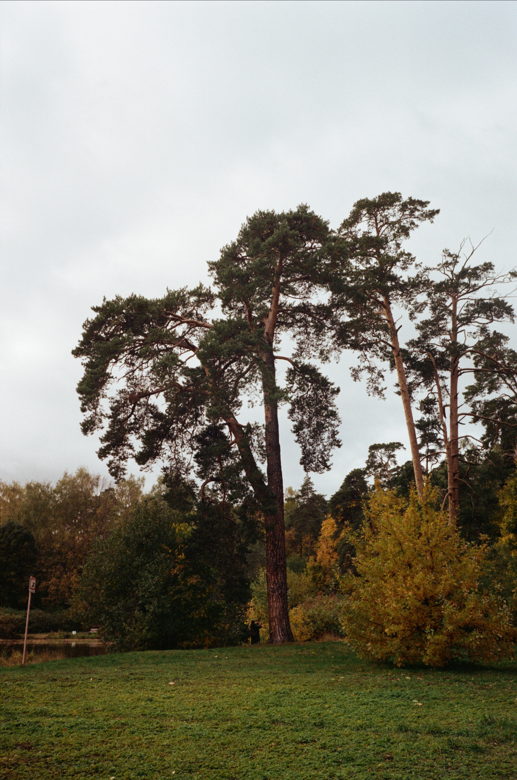 Серебряный Бор. Октябрь. Фотограф-документалист Мария Осокина