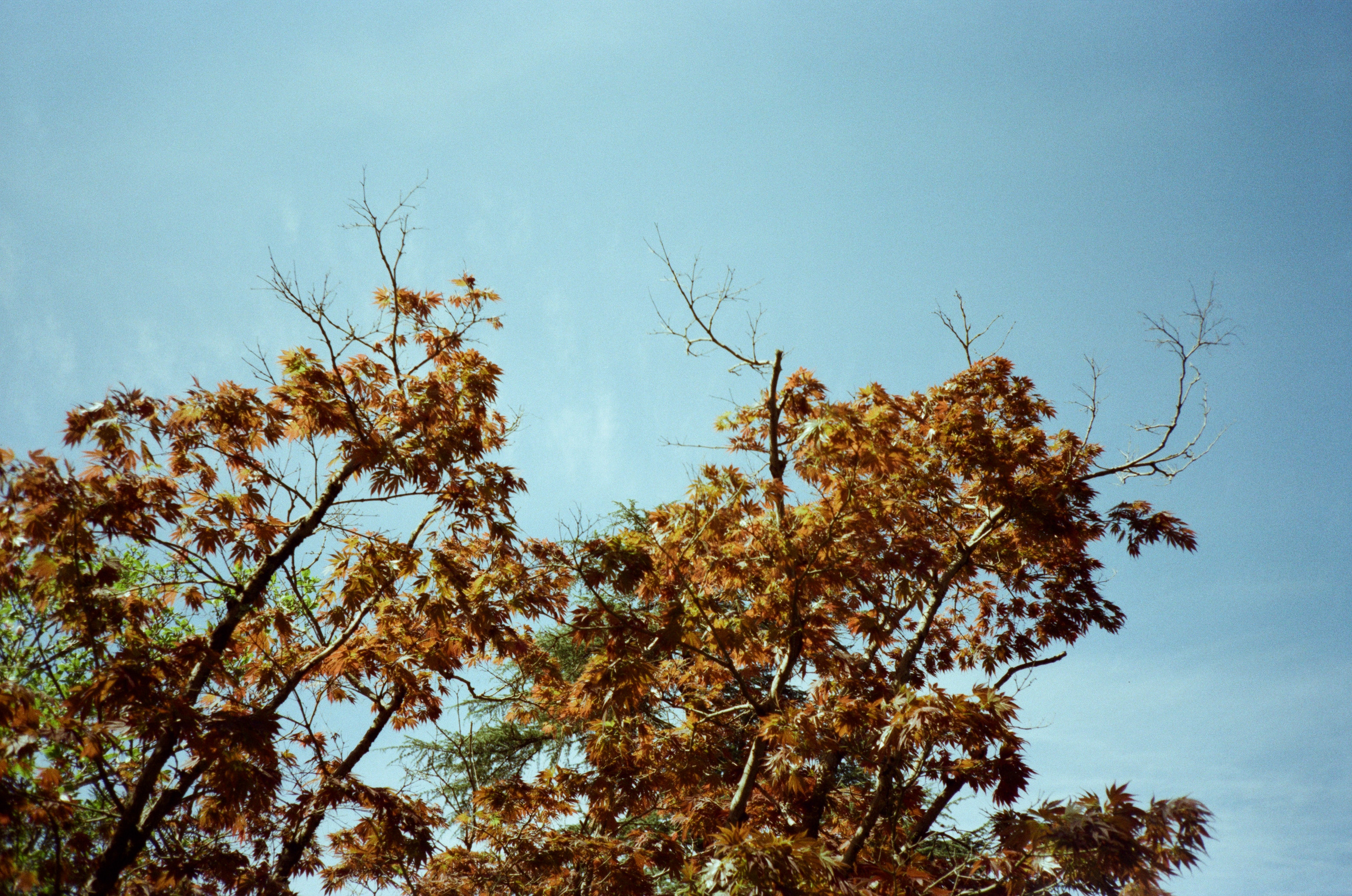 Экзотика Южных культур. Фотограф-документалист Мария Осокина