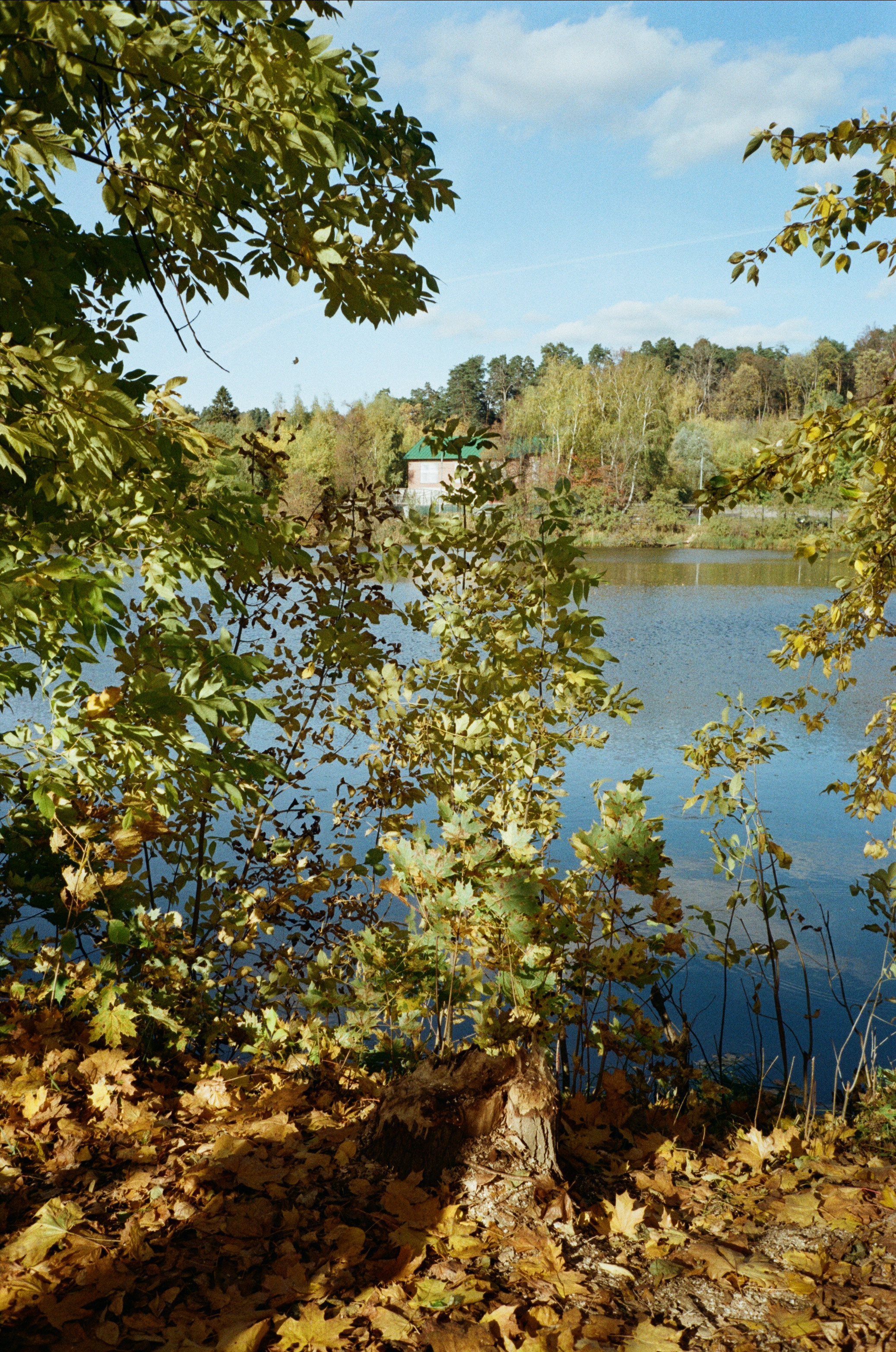 Архангельское. Золотая осень. Фотограф-документалист Мария Осокина