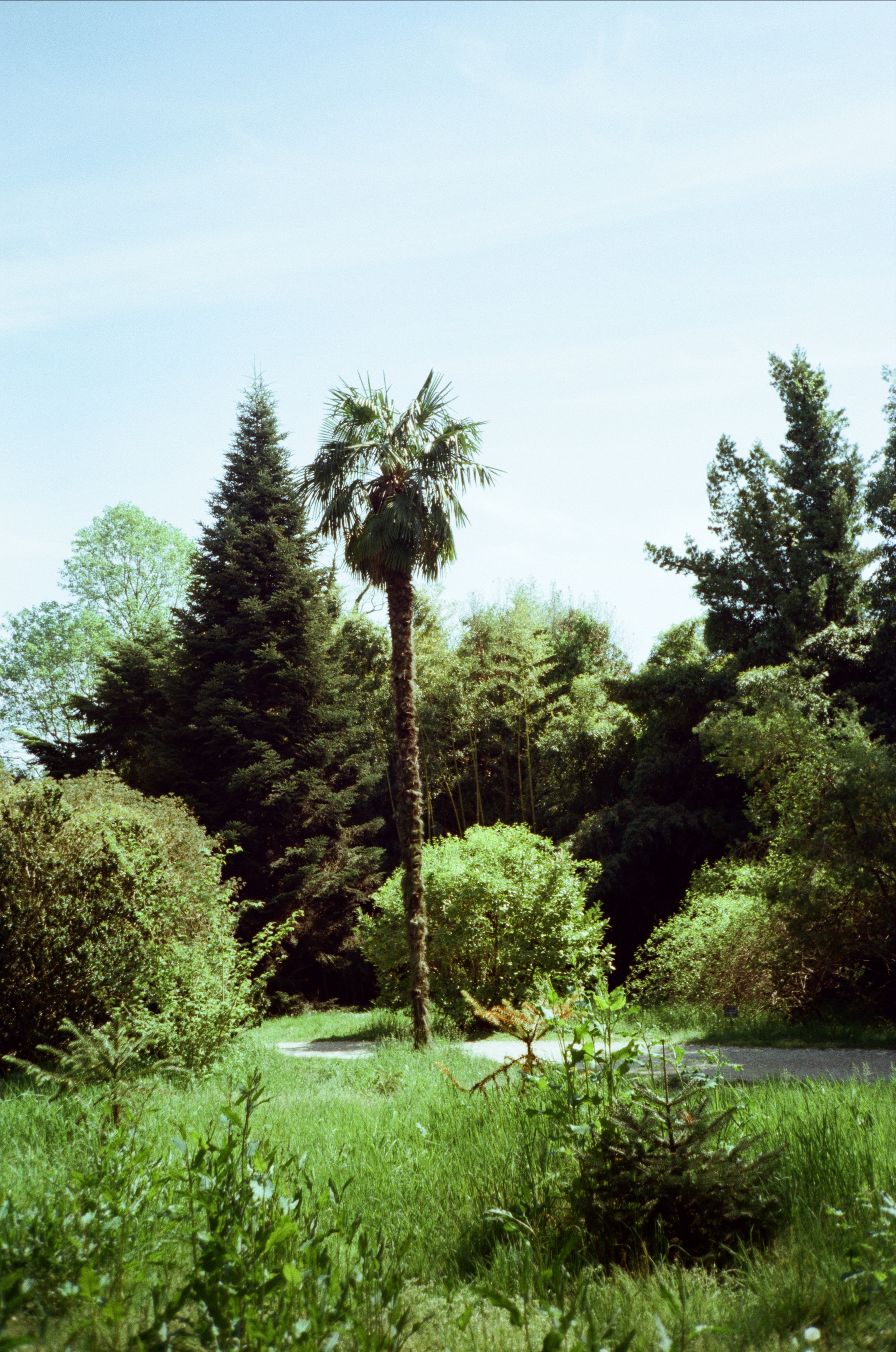 Экзотика Южных культур. Фотограф-документалист Мария Осокина