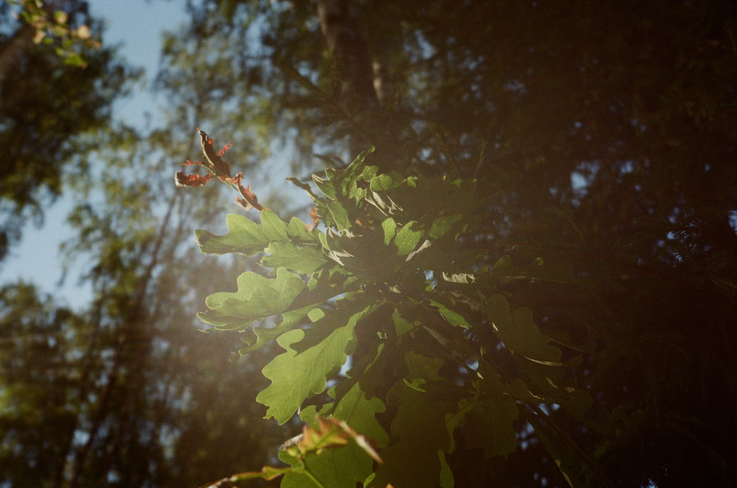 Тихая Заводь. Golden hour. Фотограф-документалист Мария Осокина