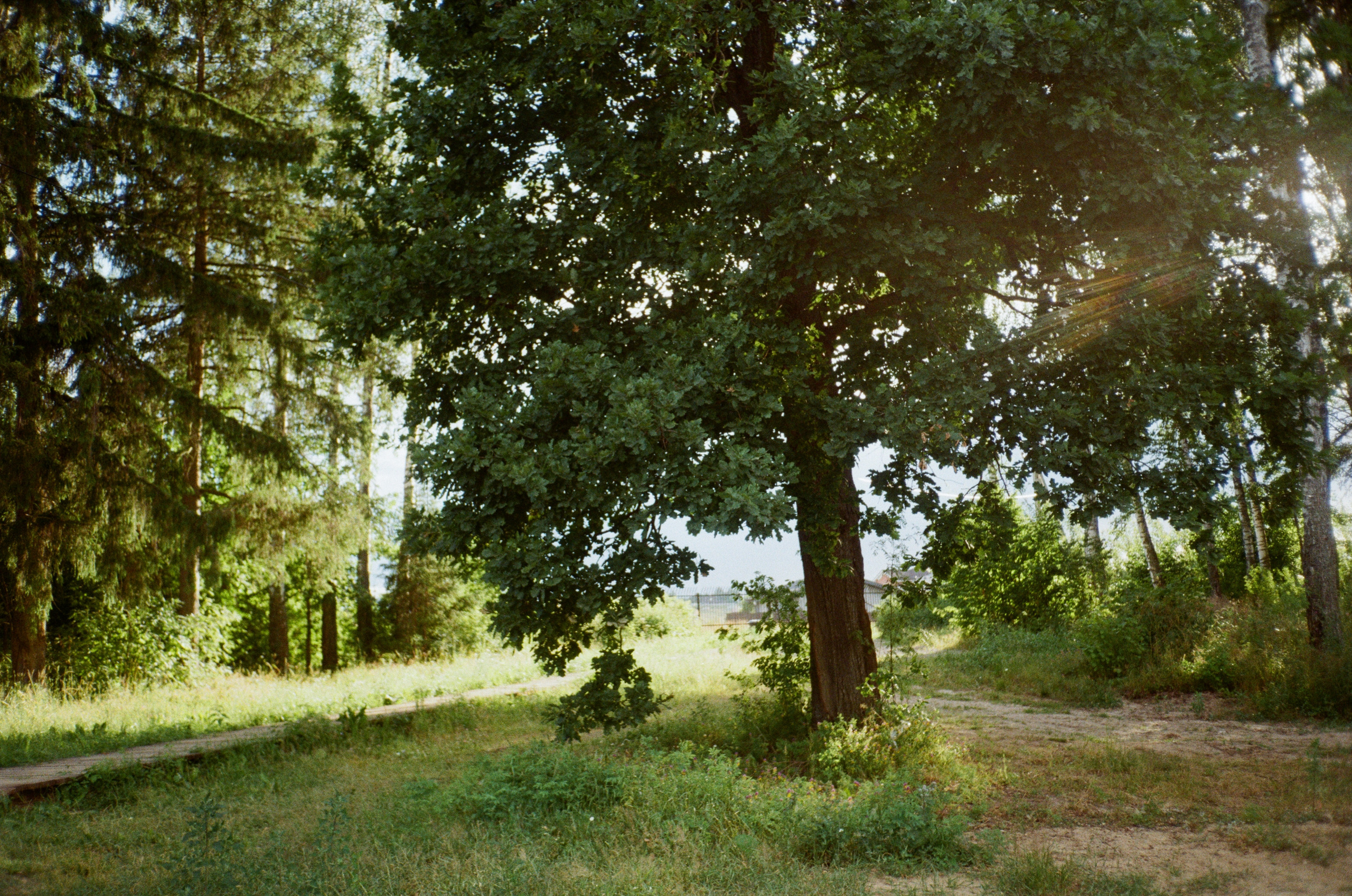Тихая Заводь. Лес и пляж. Фотограф-документалист Мария Осокина