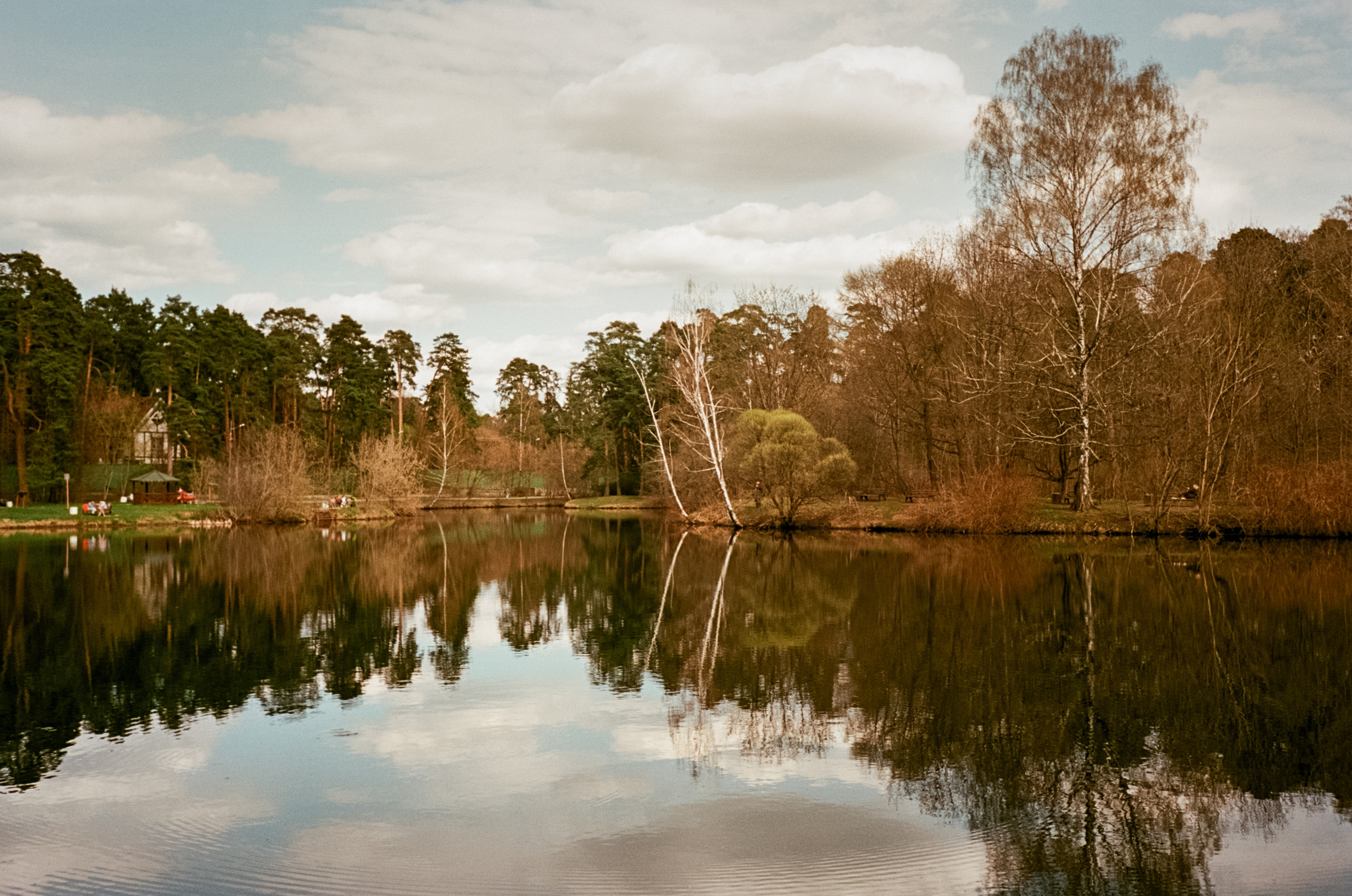 Серебряный Бор. Май. Сепия. Фотограф-документалист Мария Осокина