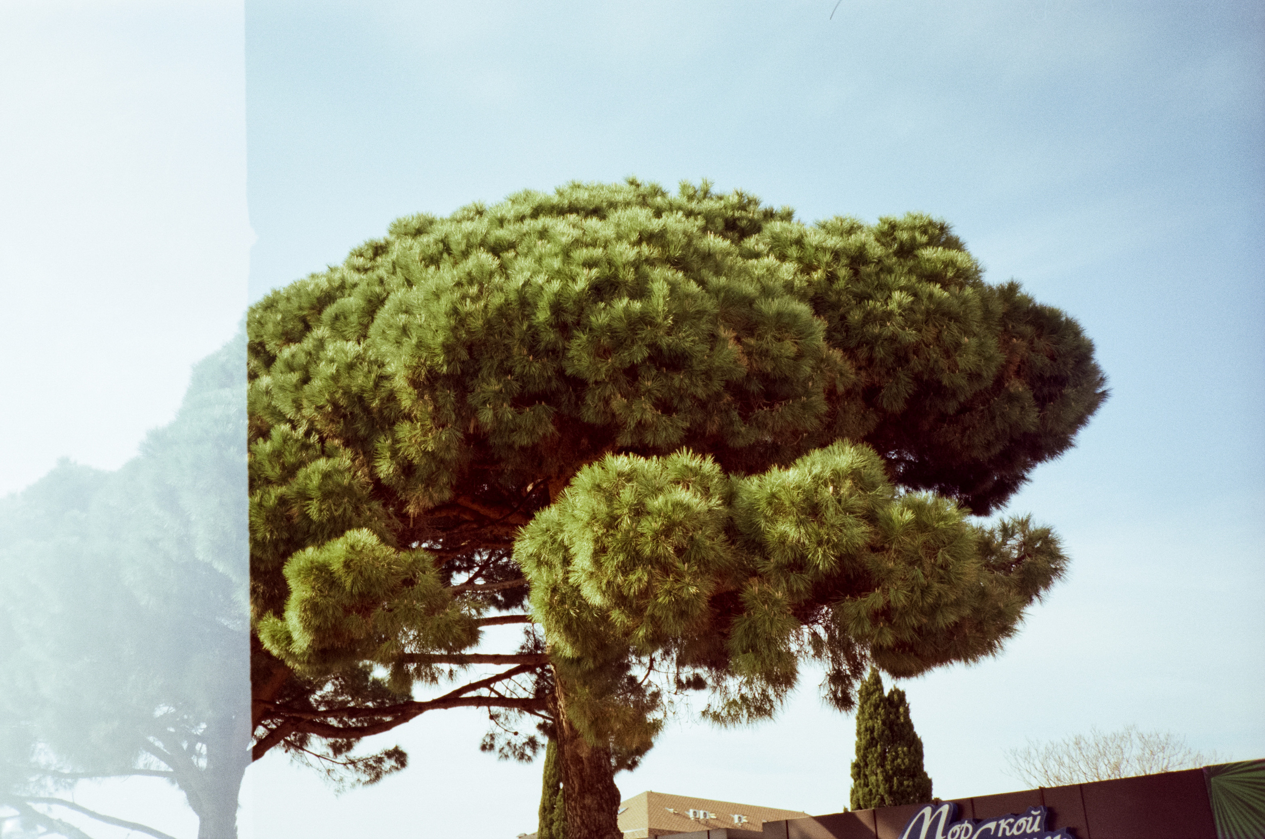 Имеретинская набережная. Фотограф-документалист Мария Осокина