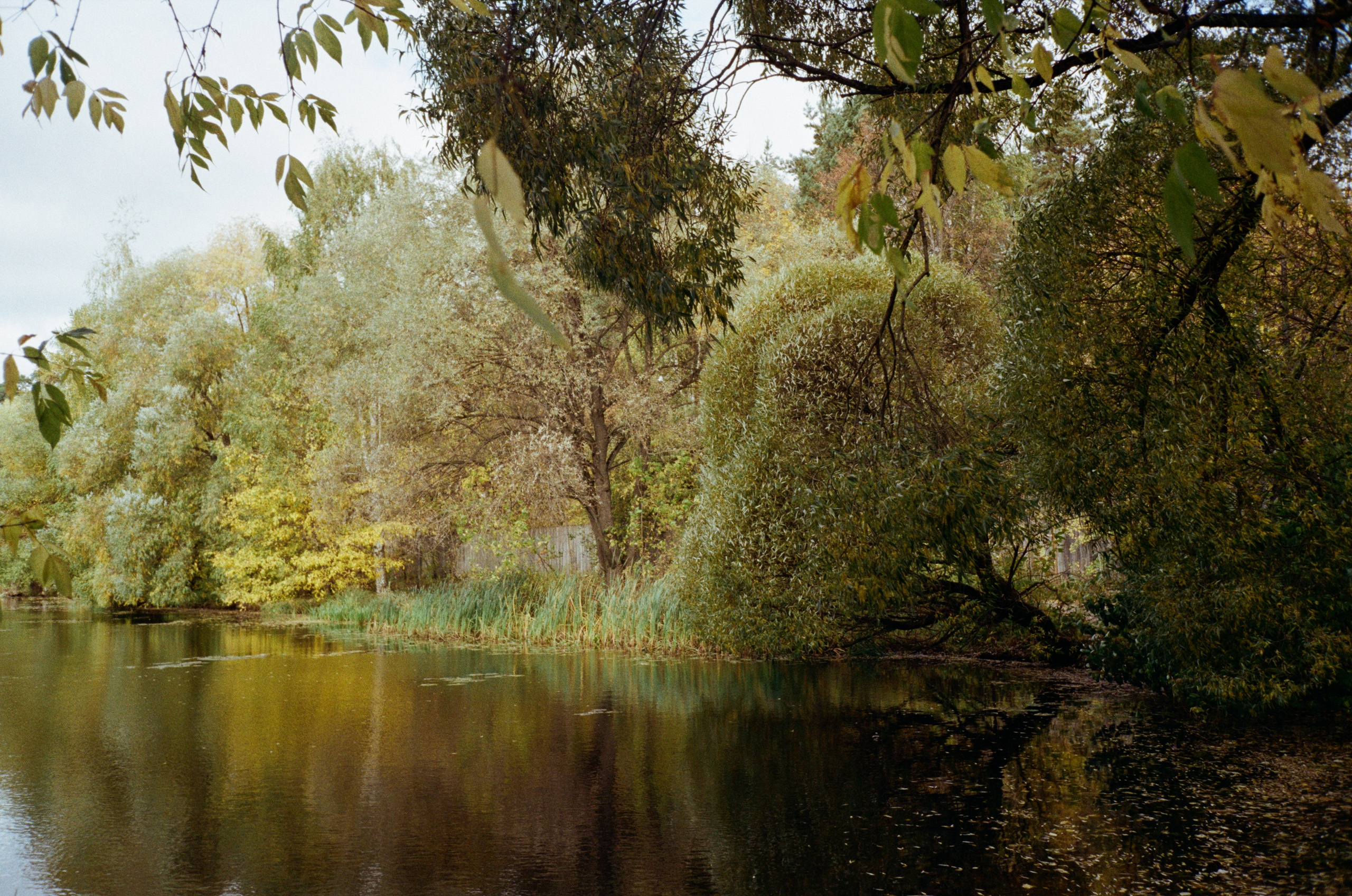 Серебряный Бор. Октябрь. Фотограф-документалист Мария Осокина