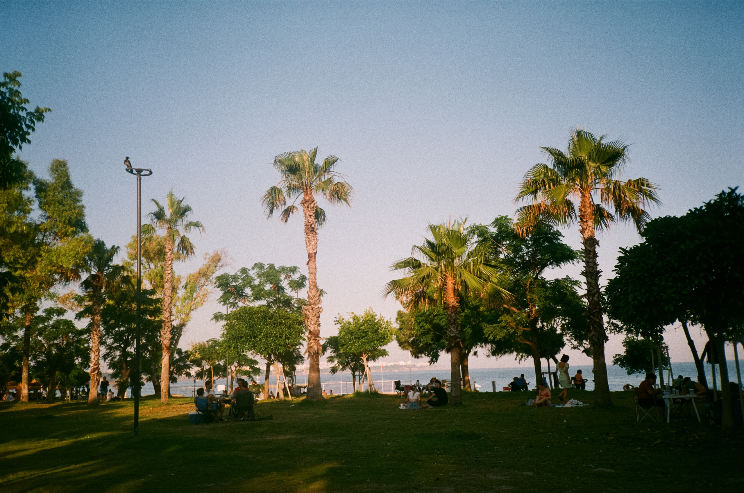 Вечерний вайб, кафе и кофейни, атмосфера, море и местные жители. Фотограф-документалист Мария Осокина
