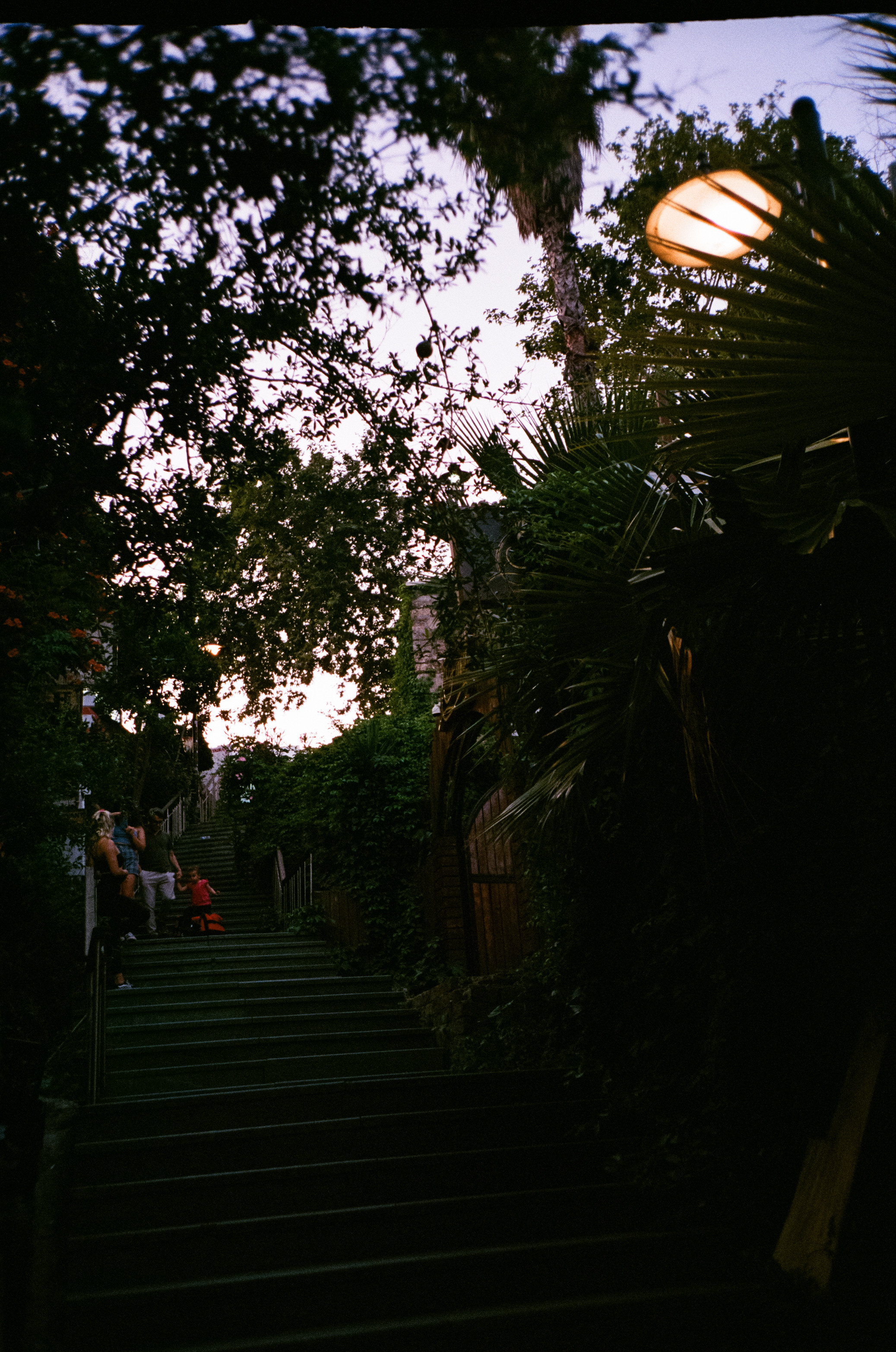 Вечерний город, улочка баров, пальмы и рассвет нового дня. Фотограф-документалист Мария Осокина