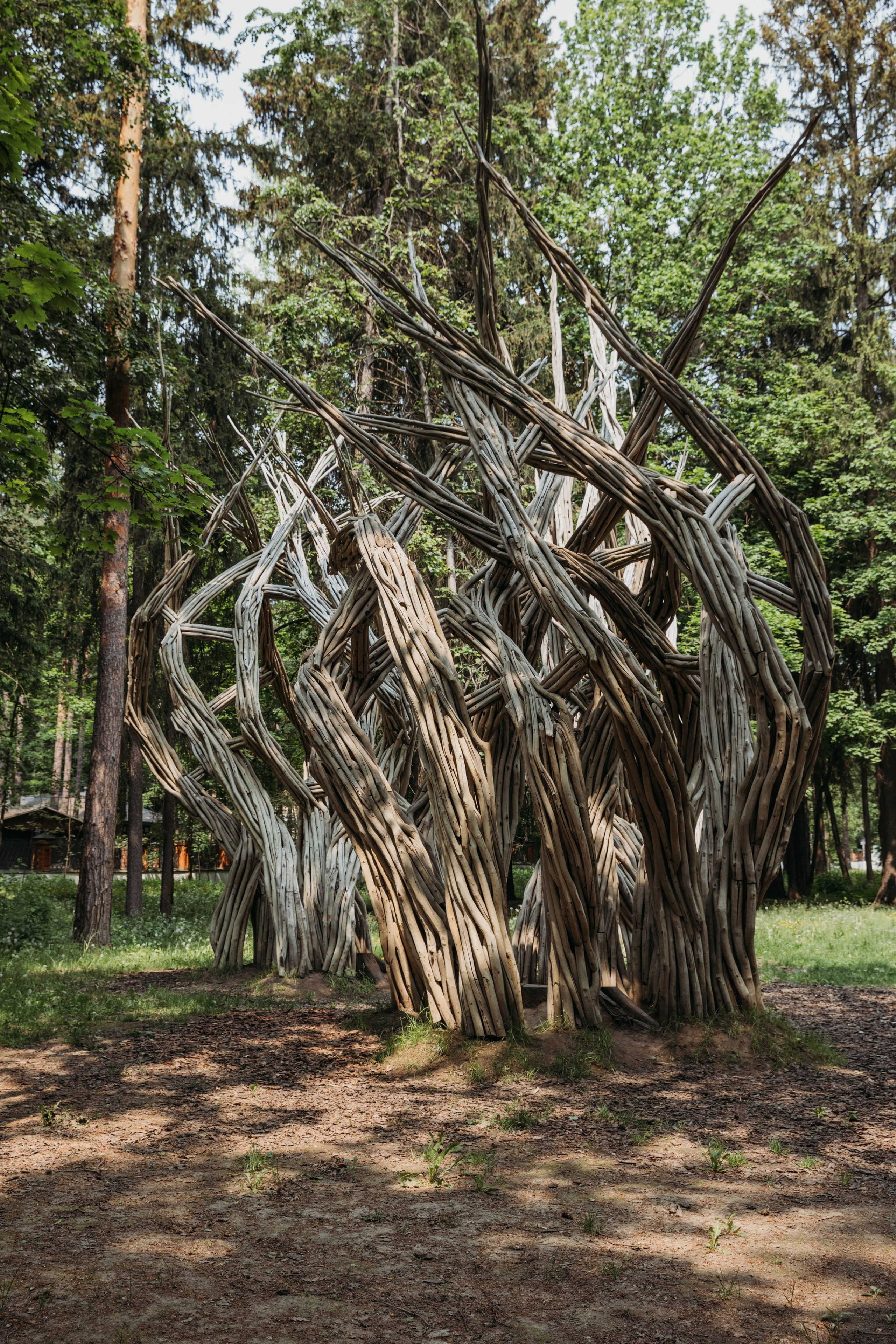 Родные люди «Переделкино». Леся Гаранина. Семейный фотограф/видеограф Москва и область