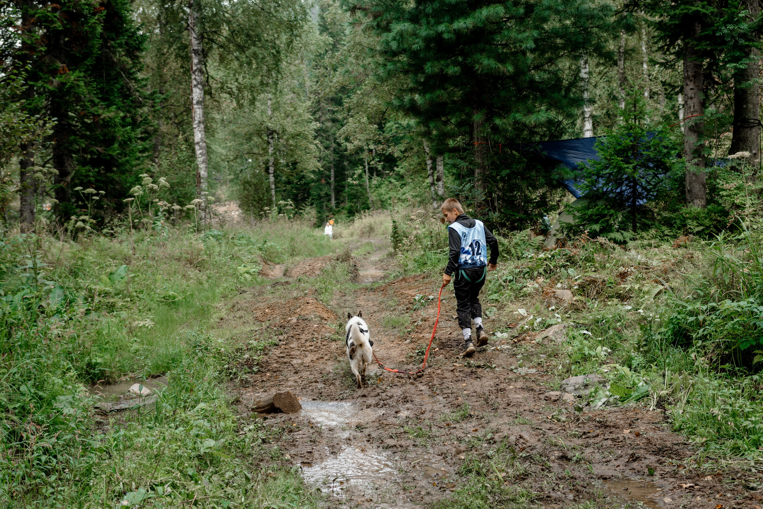 Дог-треккинг