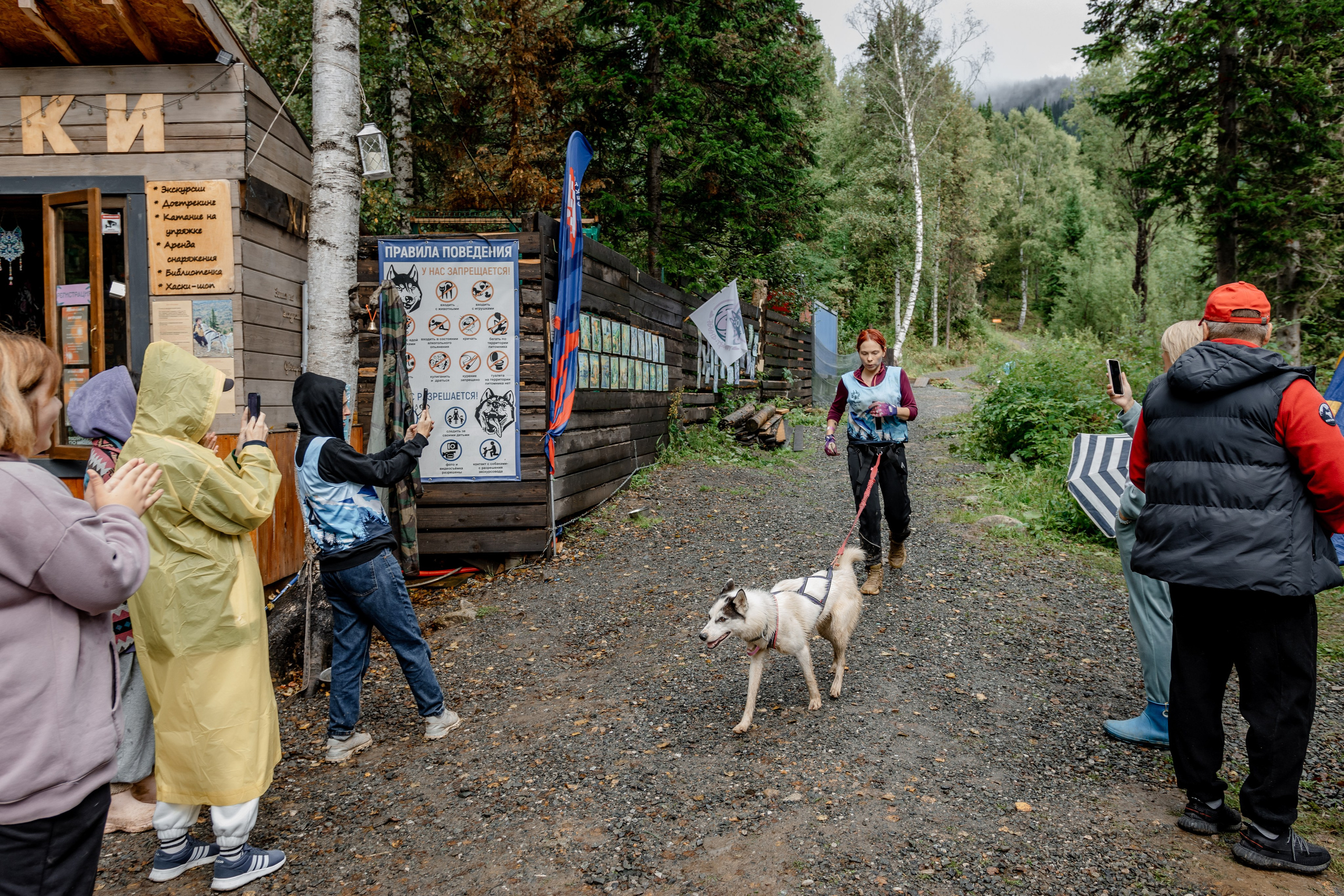 Дог-треккинг