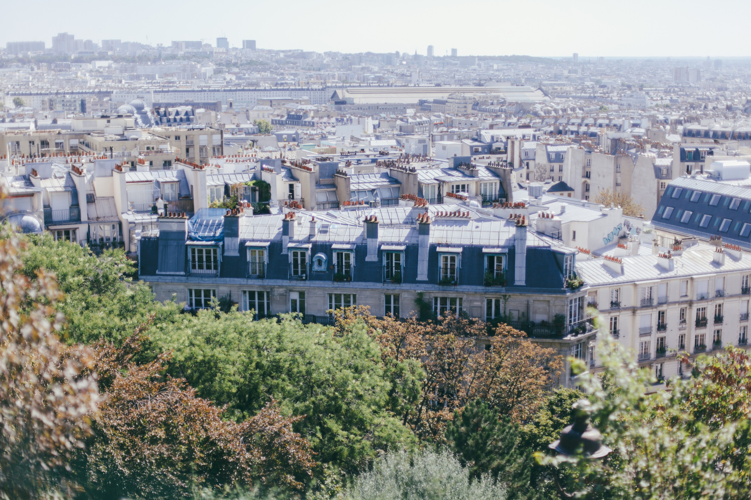 Париж. Аня Степанова