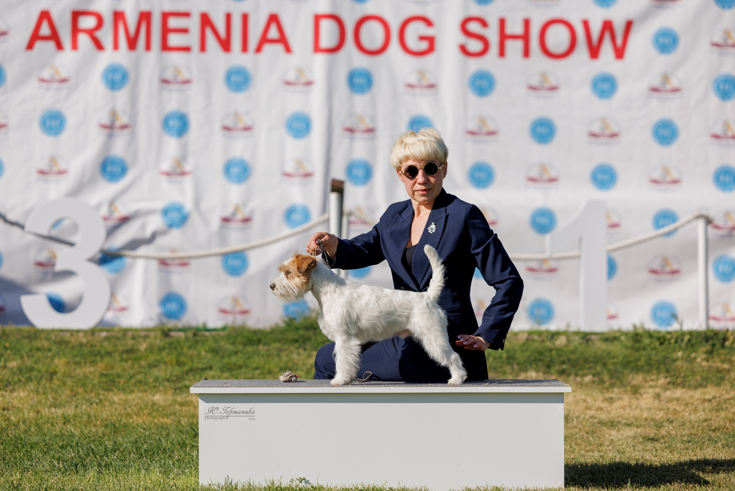 Ереван 3хCACIB 23-25.06.2025. Фотограф-анималист Юлия Германика