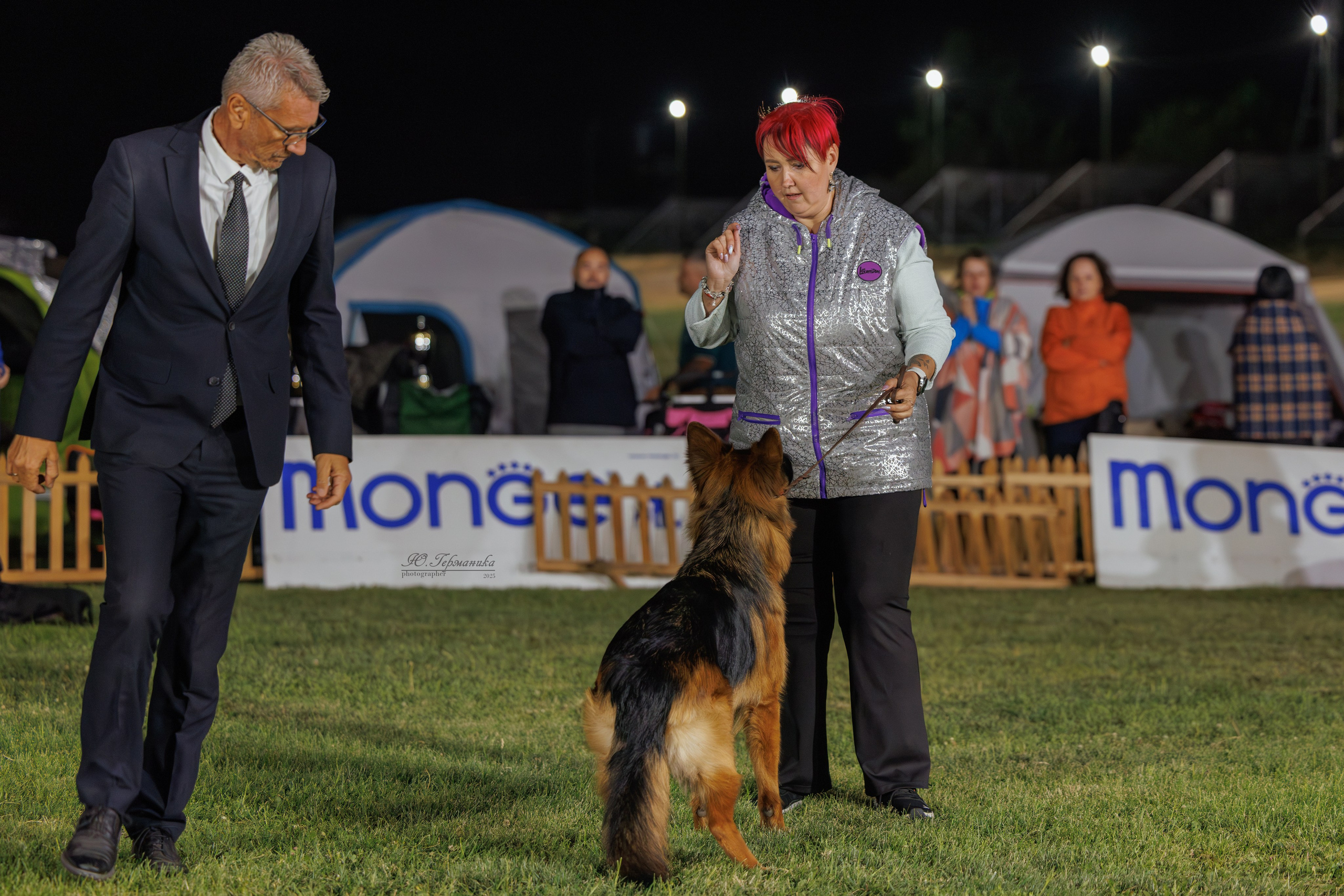 Ереван 3хCACIB 23-25.06.2025. Фотограф-анималист Юлия Германика