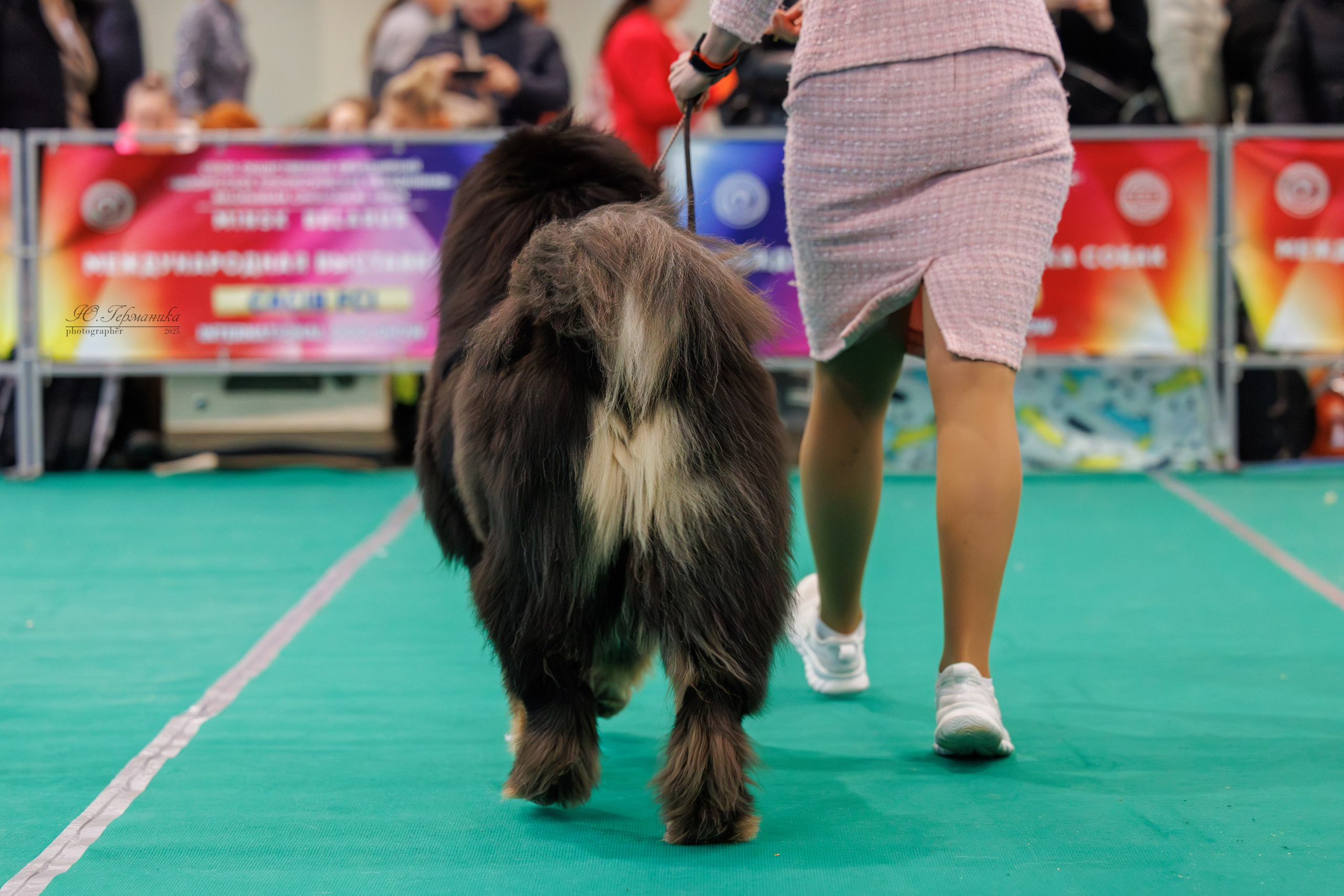 Минск 1-2.03.2025. Фотограф-анималист Юлия Германика