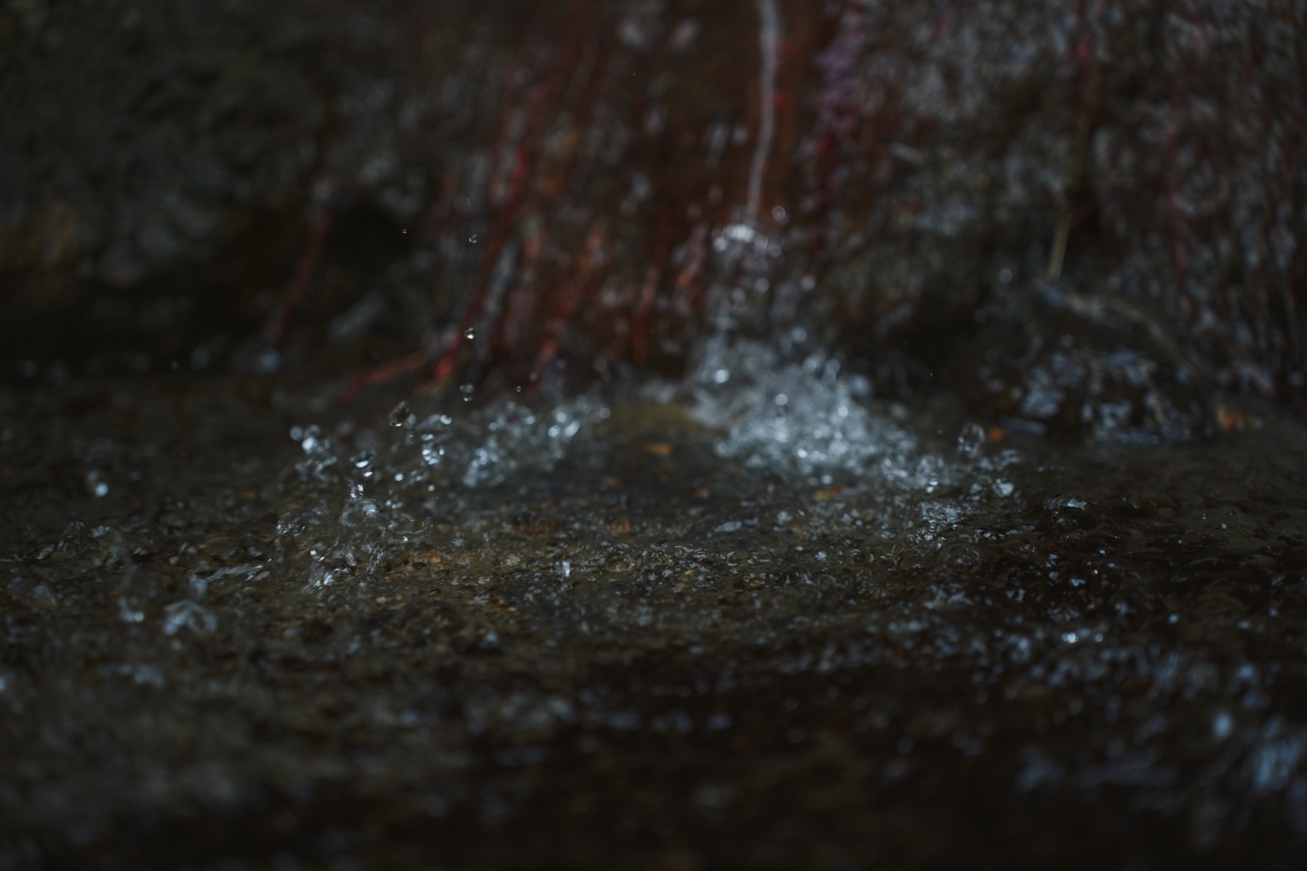 DIRTY RABBIT. Фотограф и визуальный художник в Туле / Николай Рейзвих