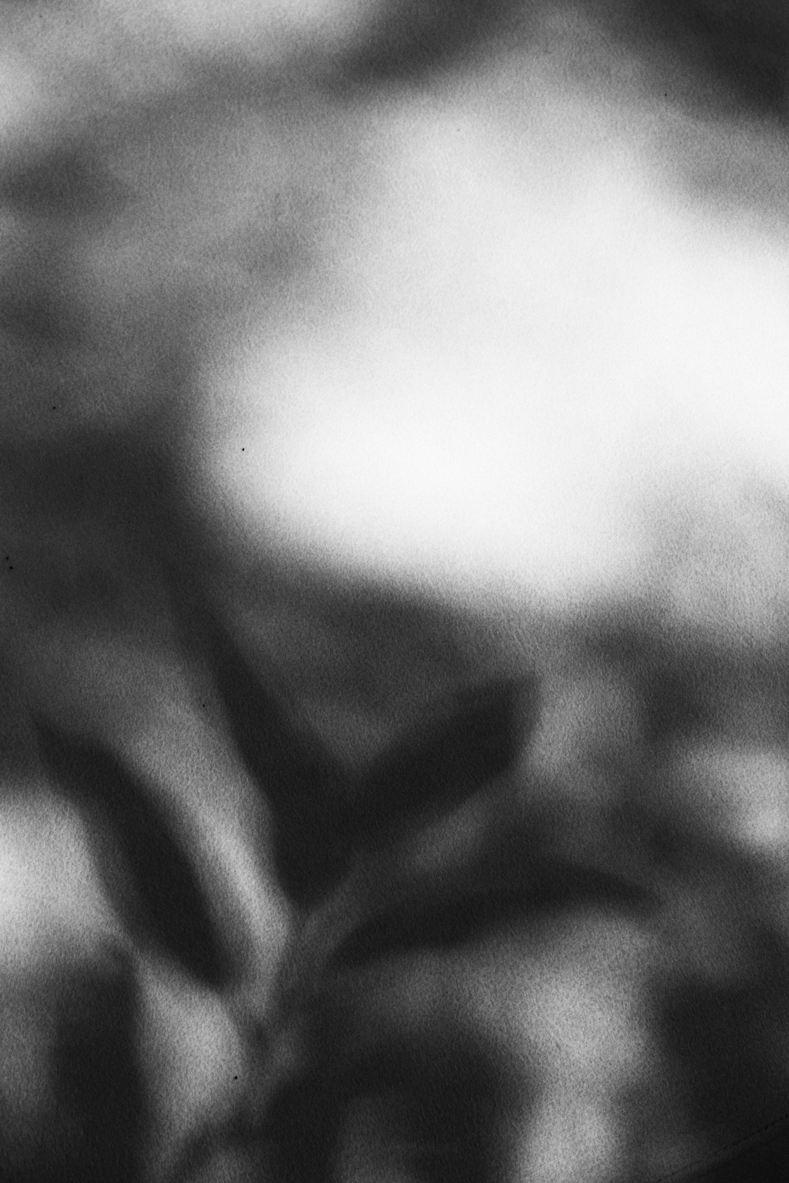 Anna & Alex film/digital Dwor Staiki. Свадебный фотограф Кристина Винокурова