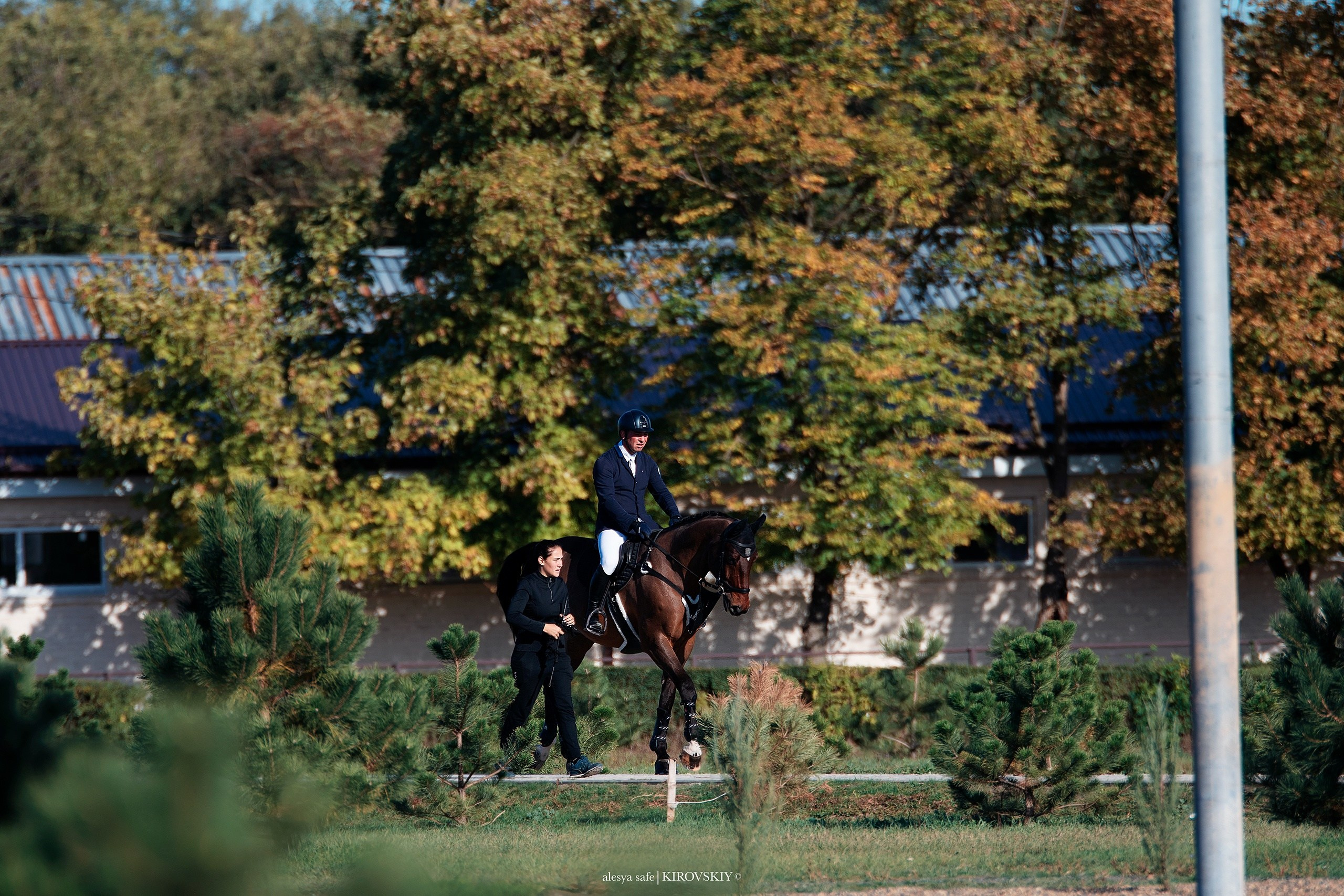 Кировский конный завод. Конный фотограф Alesya Safe