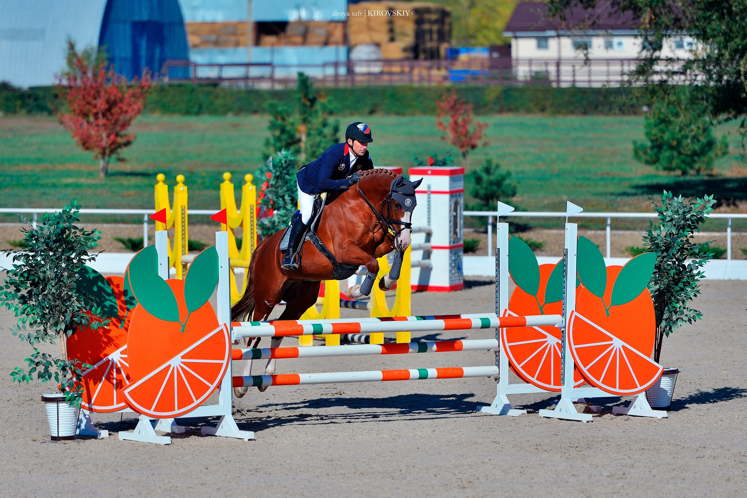 Кировский конный завод. Конный фотограф Alesya Safe
