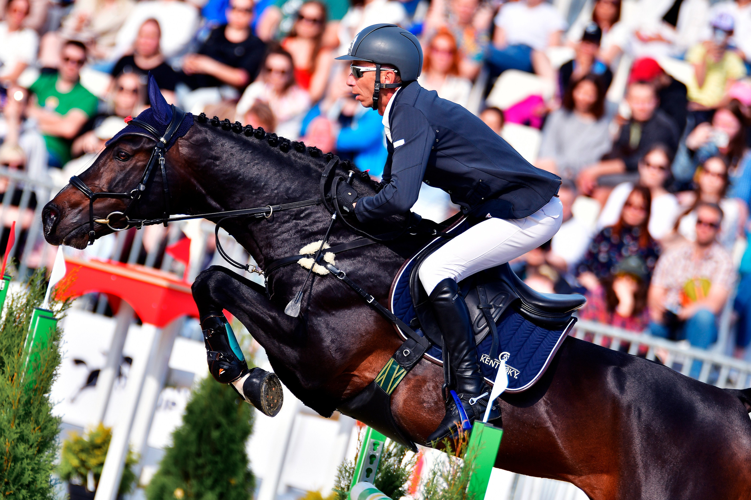 Репортаж Bitriver. Конный фотограф Alesya Safe