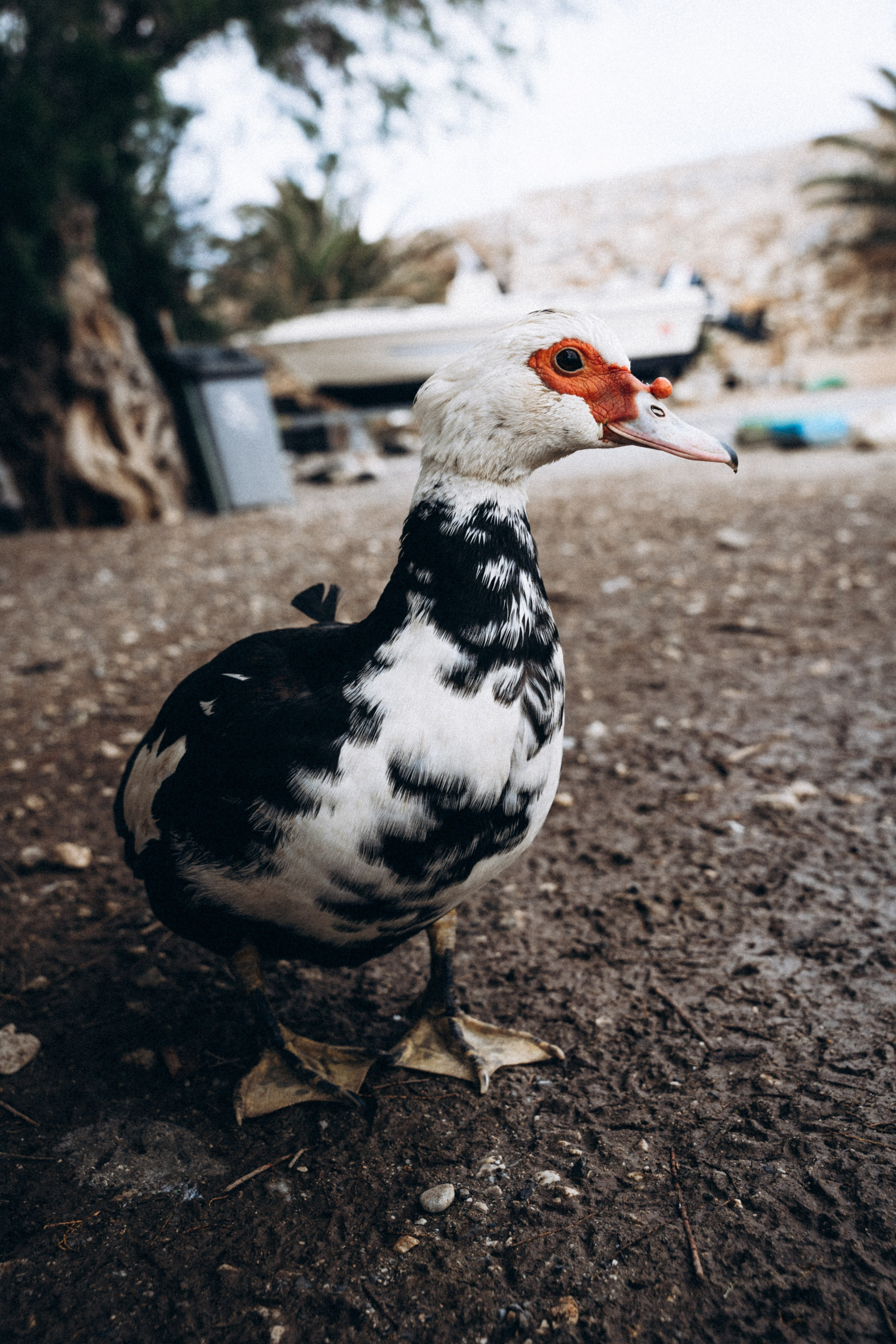 Крит 🇬🇷. Anita_photo