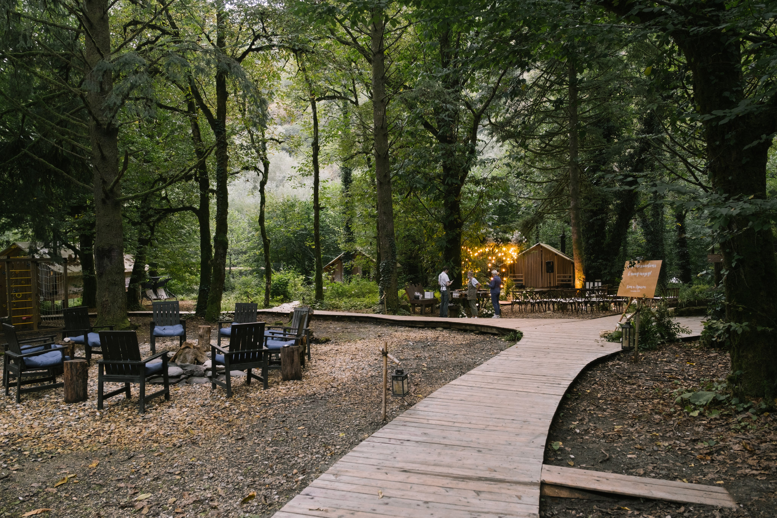 Кот и Дракон. Свадебный Видеограф Фотограф в Сочи