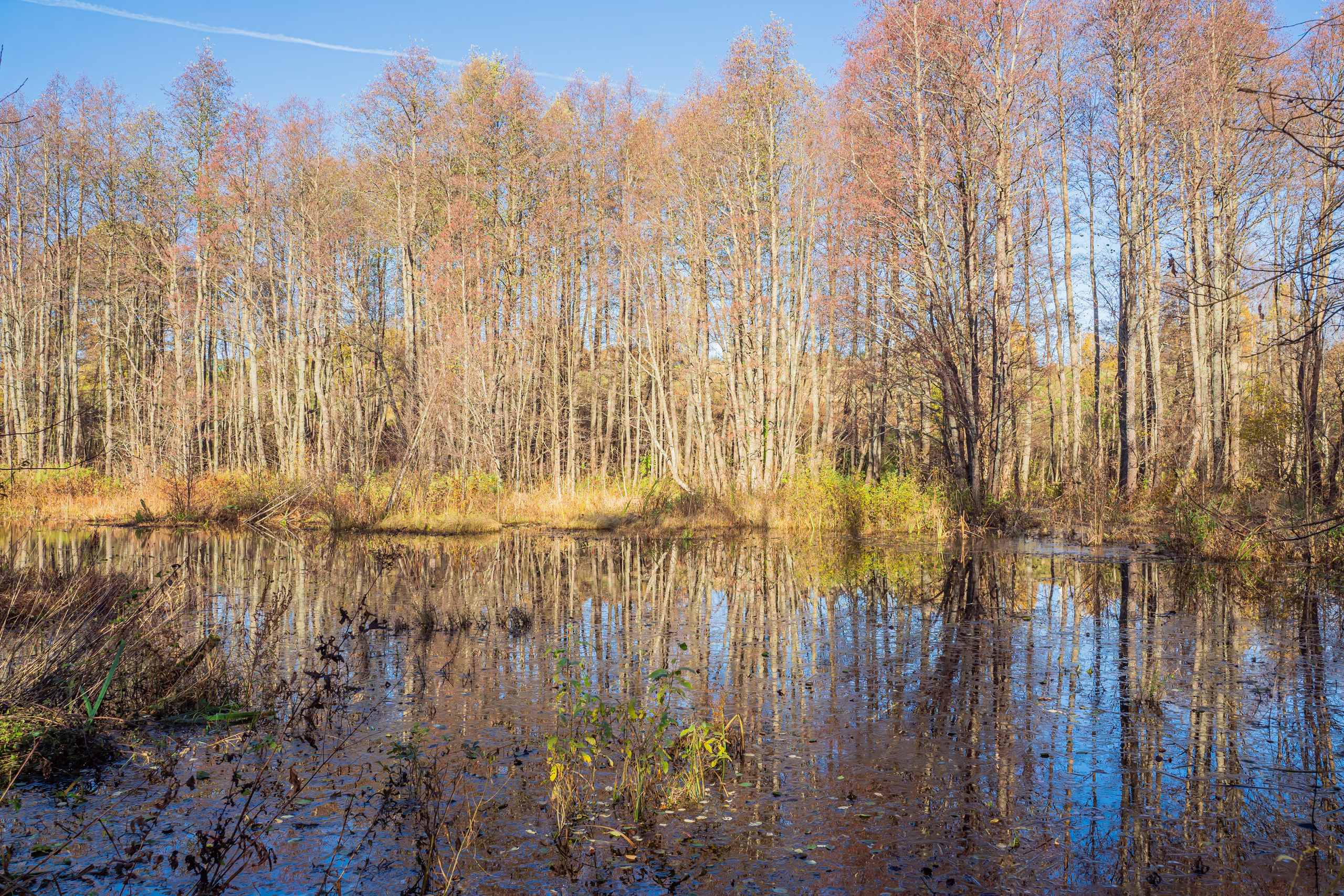 Спортивный репортажный фотограф Санкт-Петербург. Свадебный, семейный, портретный, репортажный фотограф в Санкт-Петербурге