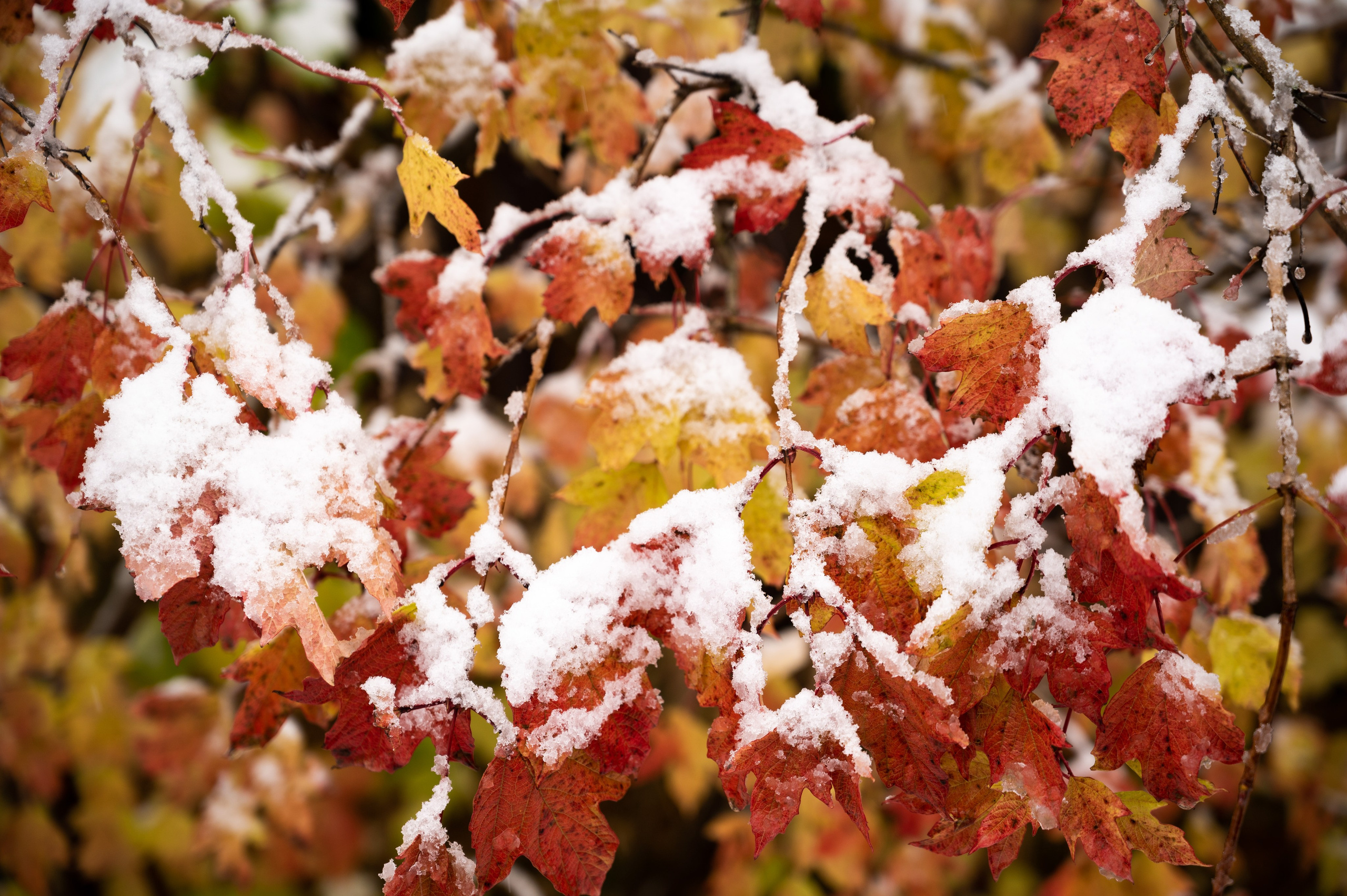 Пейзажи и архитектура. Портретный фотограф в Москве Евгений Кемайкин