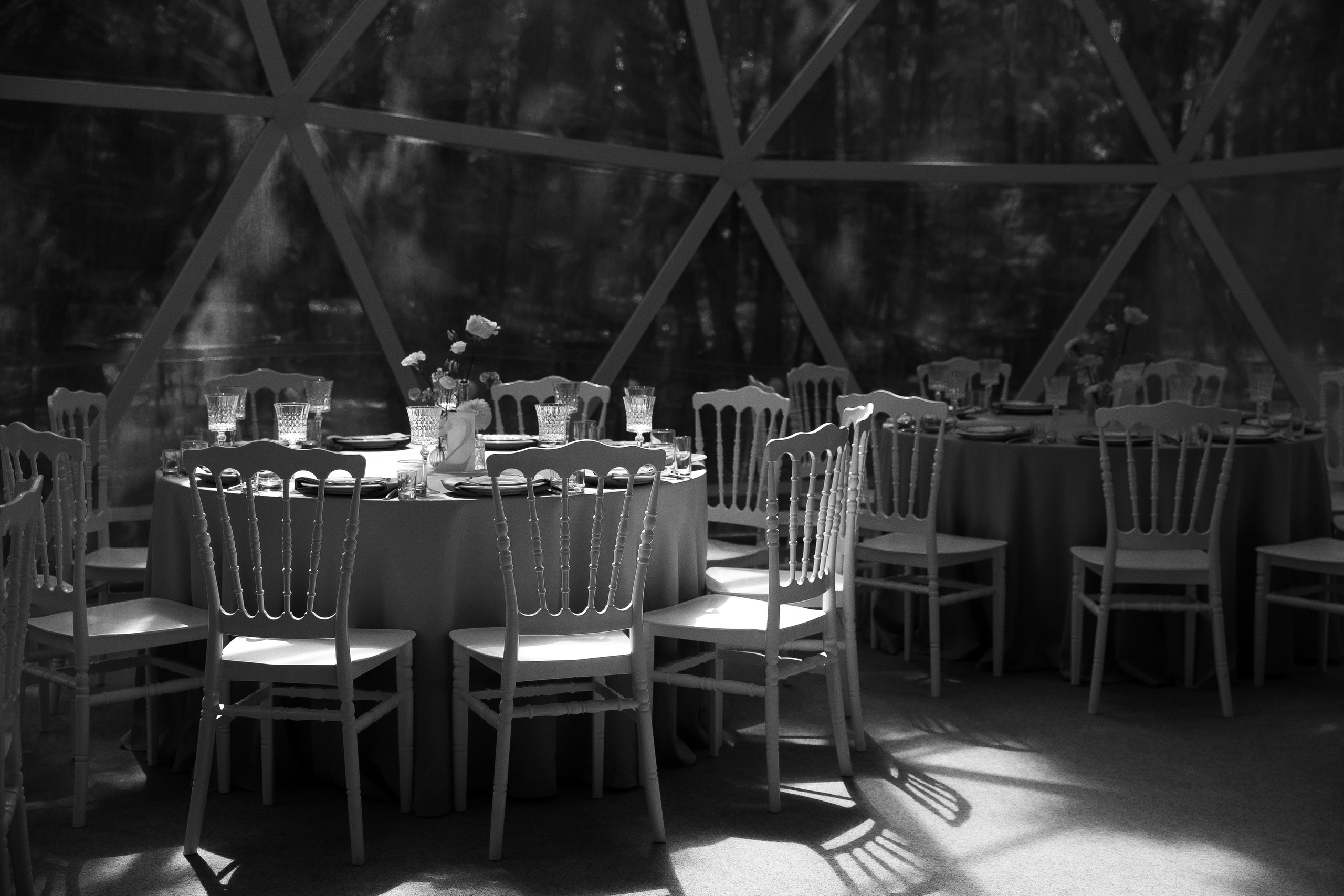 Свадебный кролик