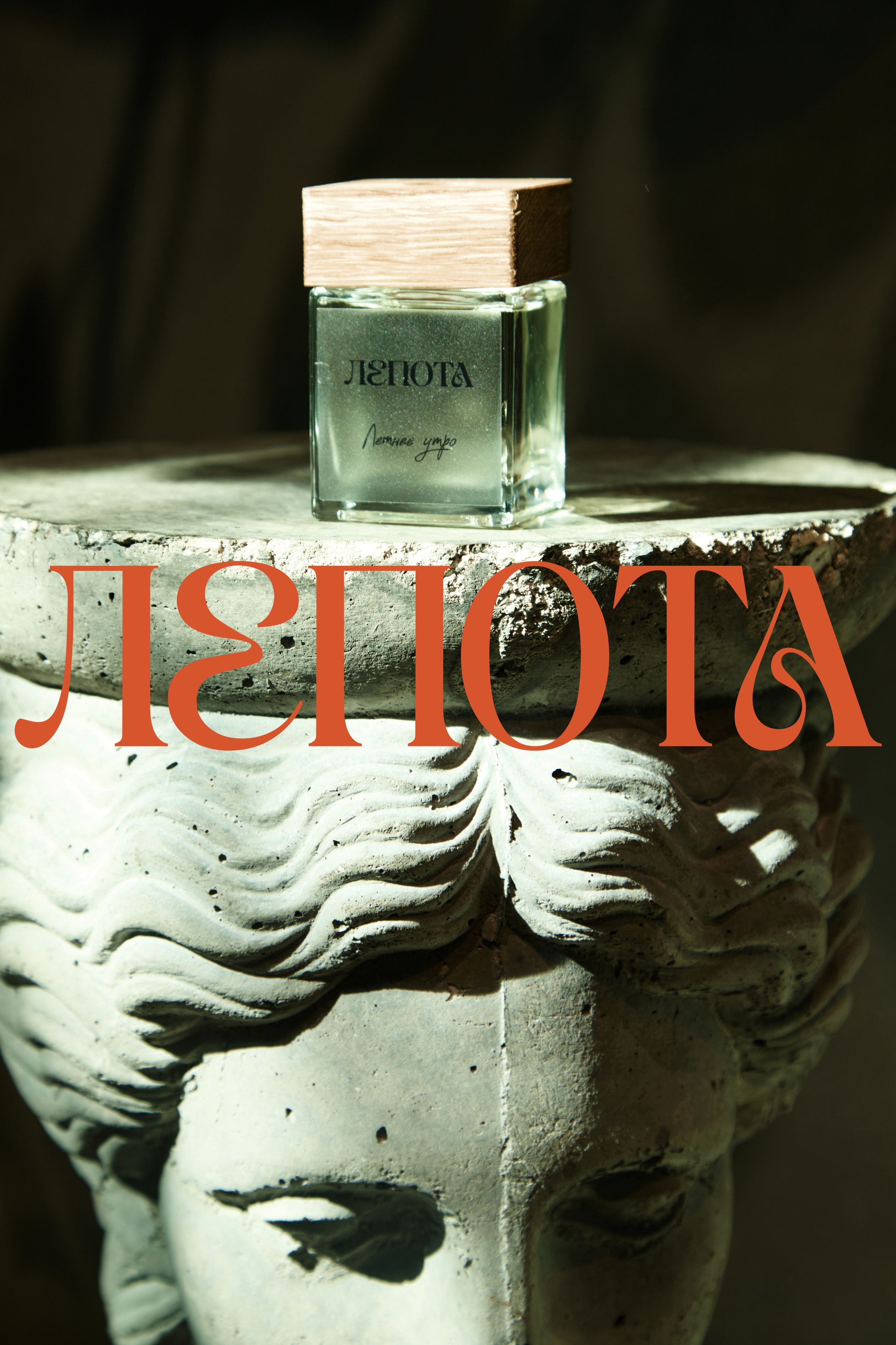 LEPOTA. Smirnova Liza