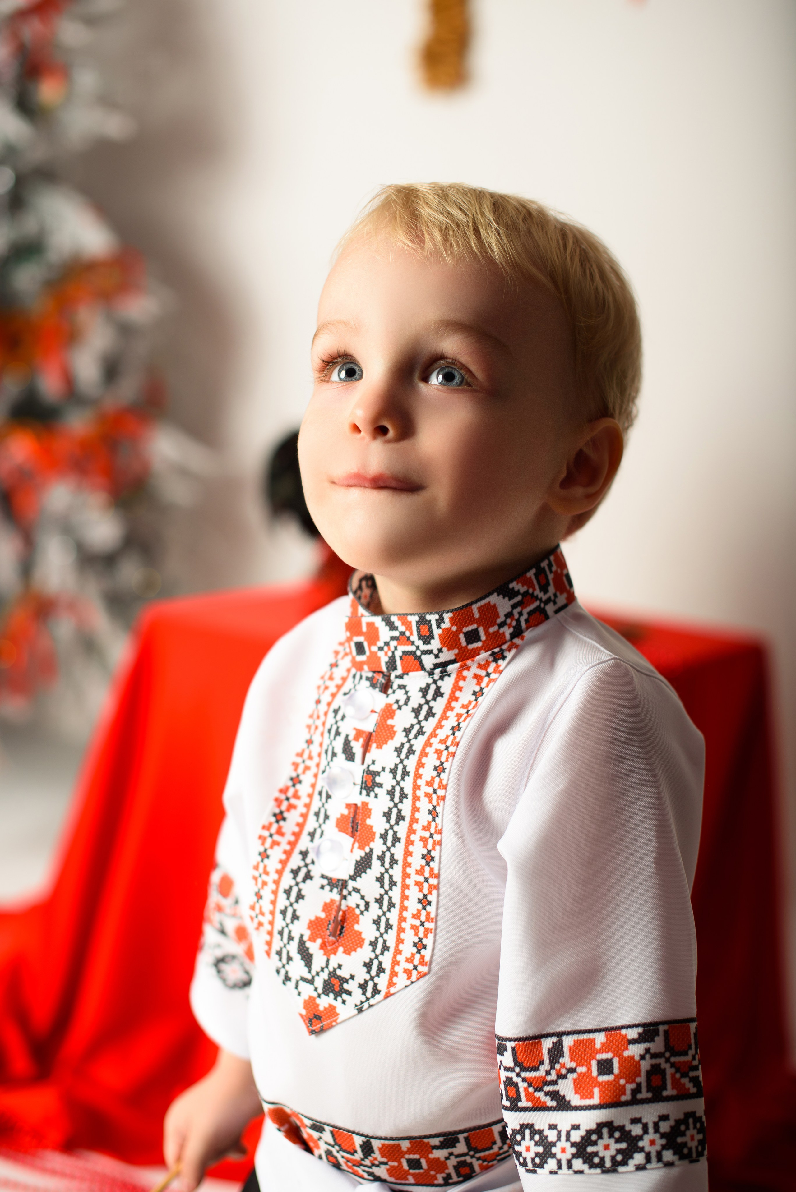 Новый год. Фотограф новорожденных и беременности Сергиев Посад Усачева Ирина