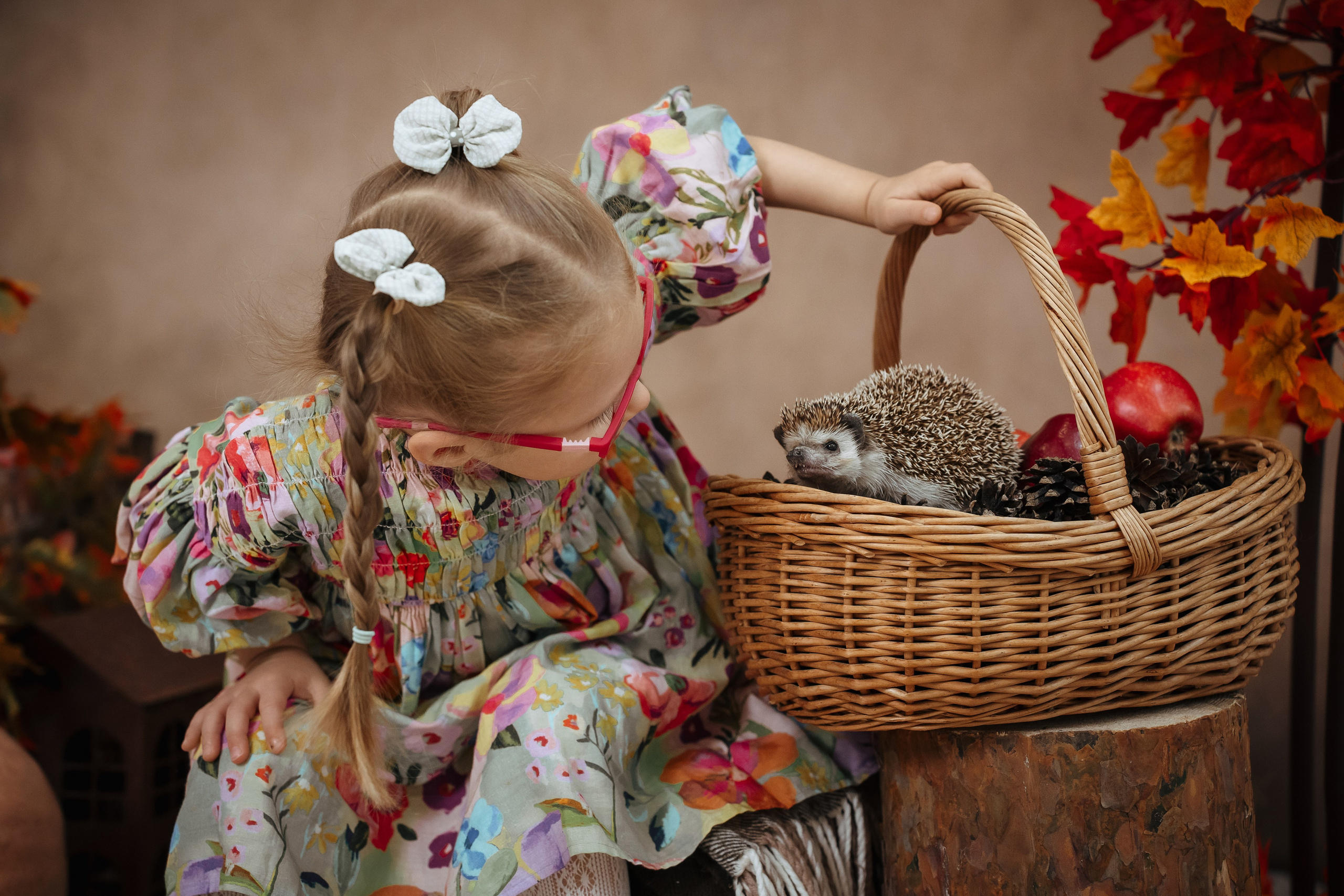 Ёжик. Фотограф Казакова Анастасия