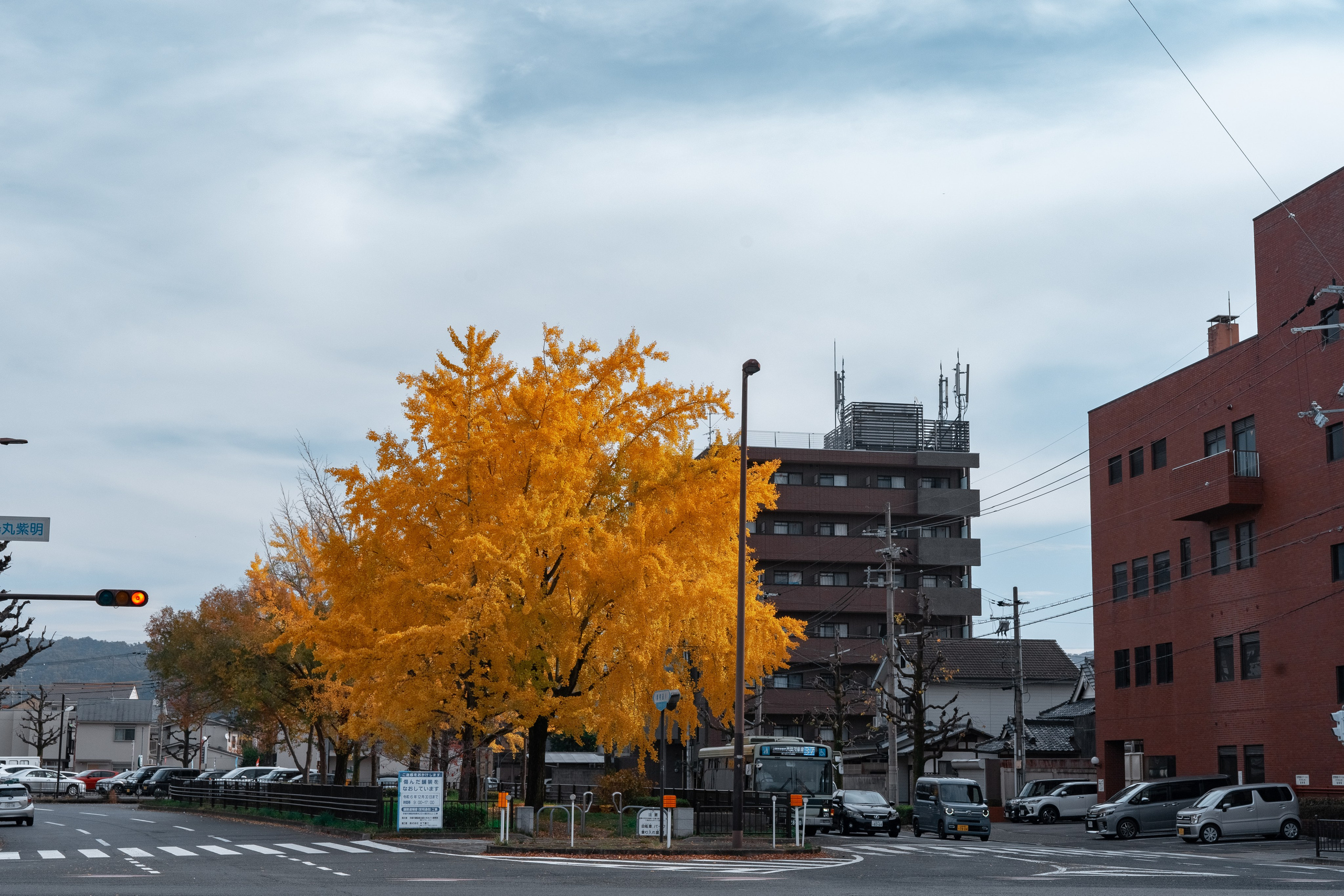 Япония. Alexkrepak